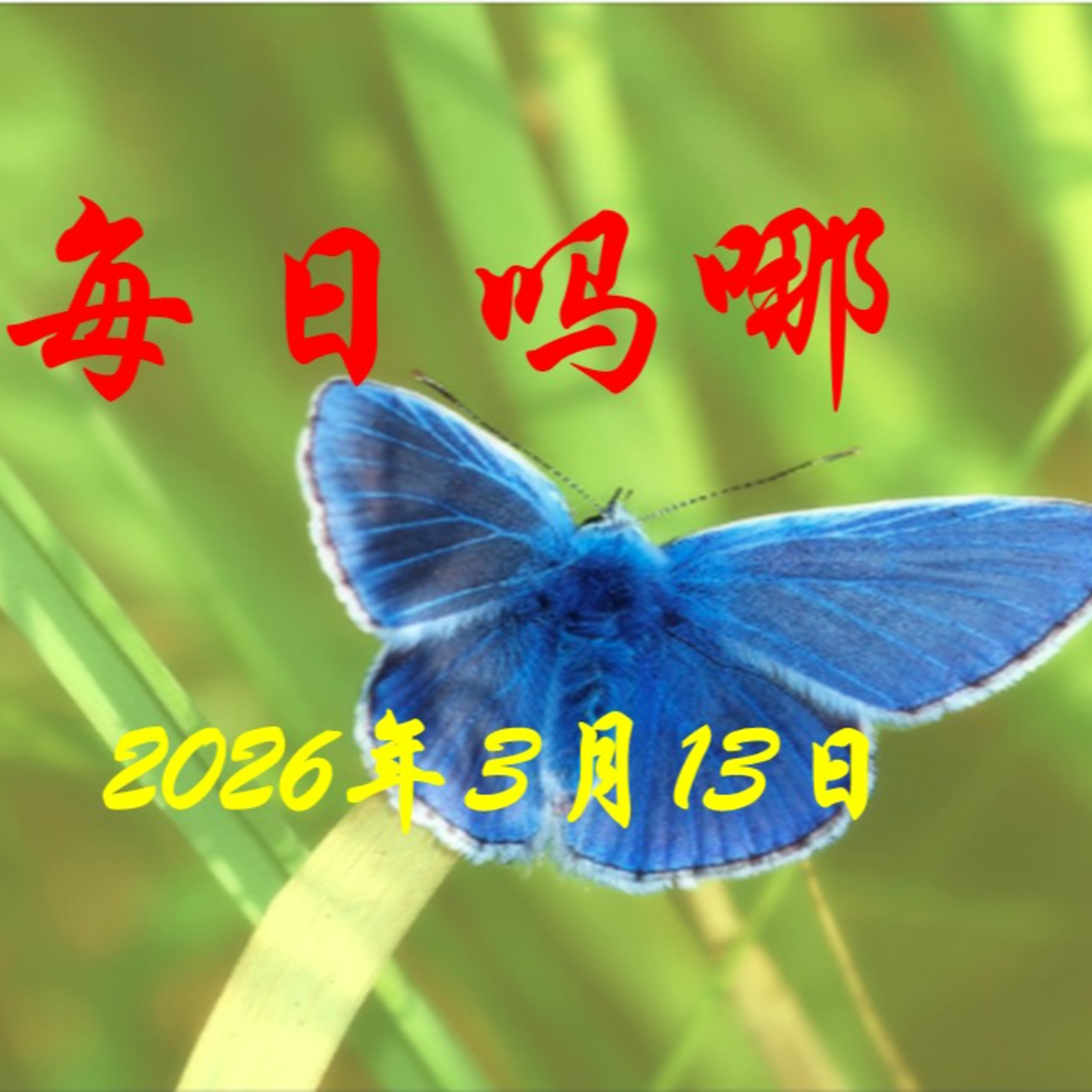 {每日吗哪}3月13日  必不临到？