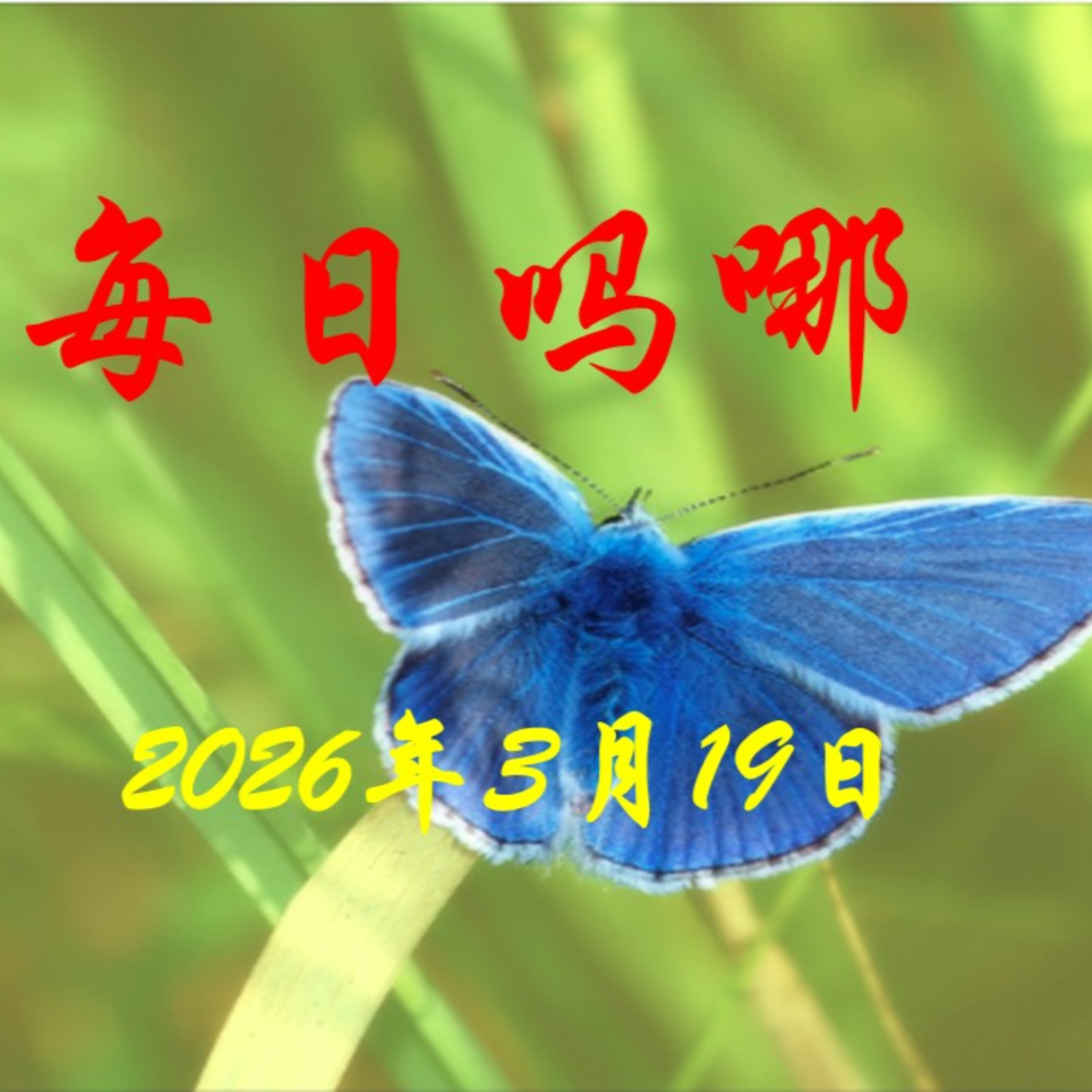 {每日吗哪}3月19日  听道心理疗法