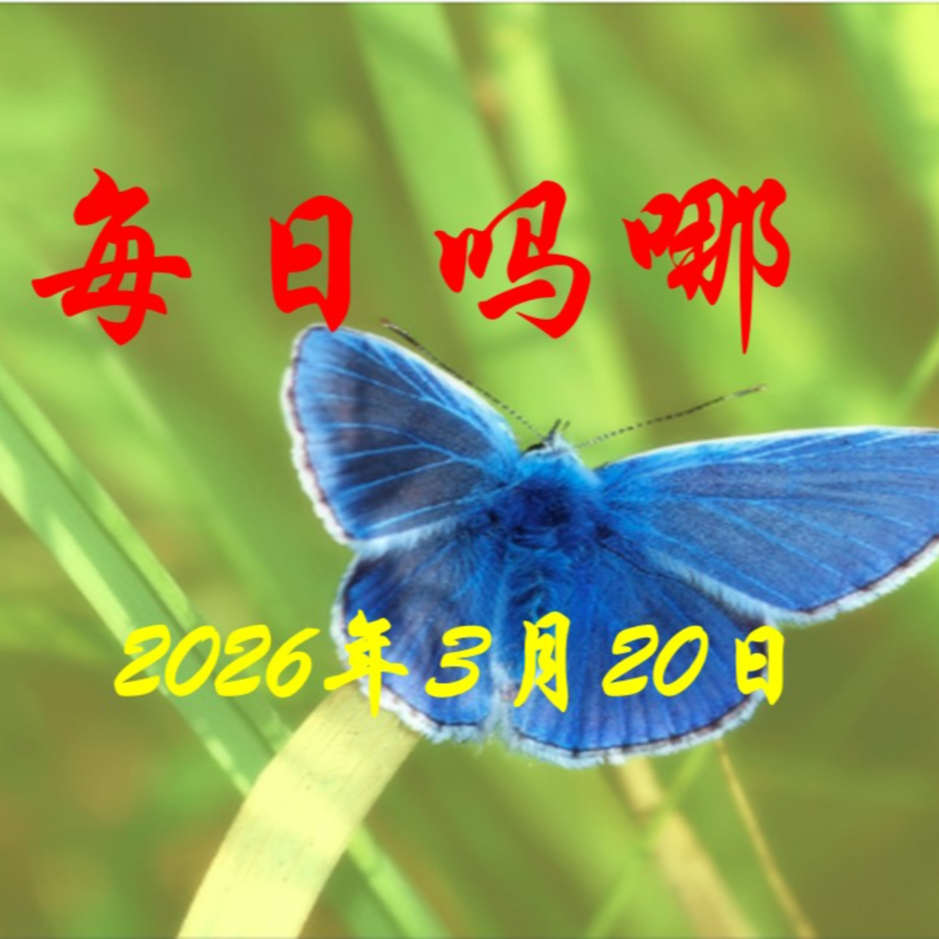 {每日吗哪}3月20日  翻土