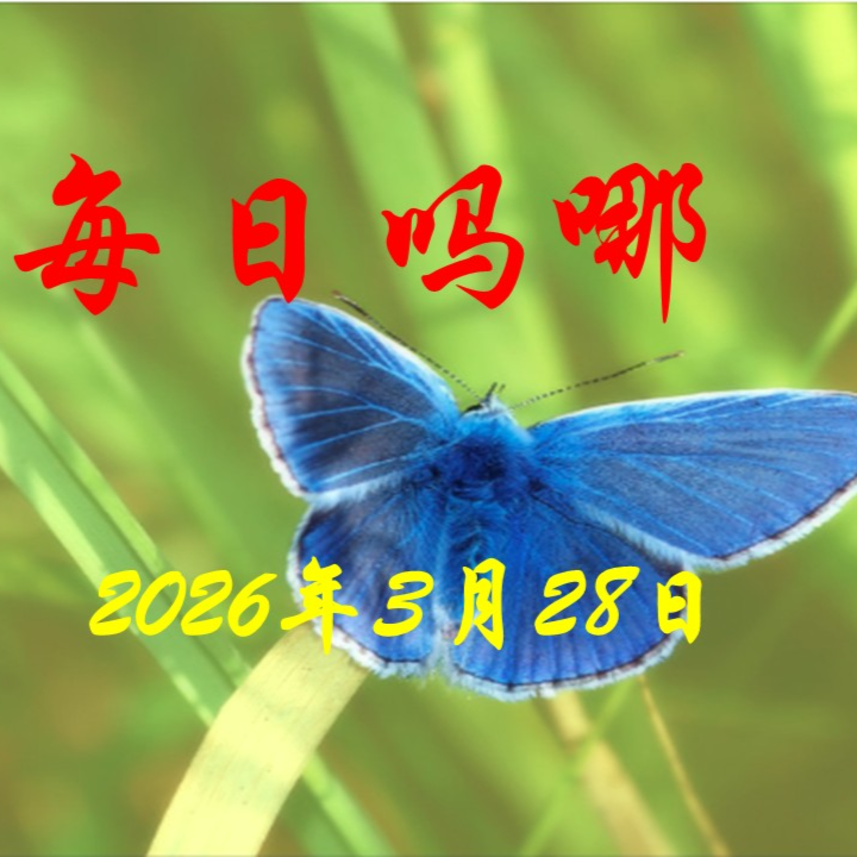 {每日吗哪}3月28日  看守兄弟