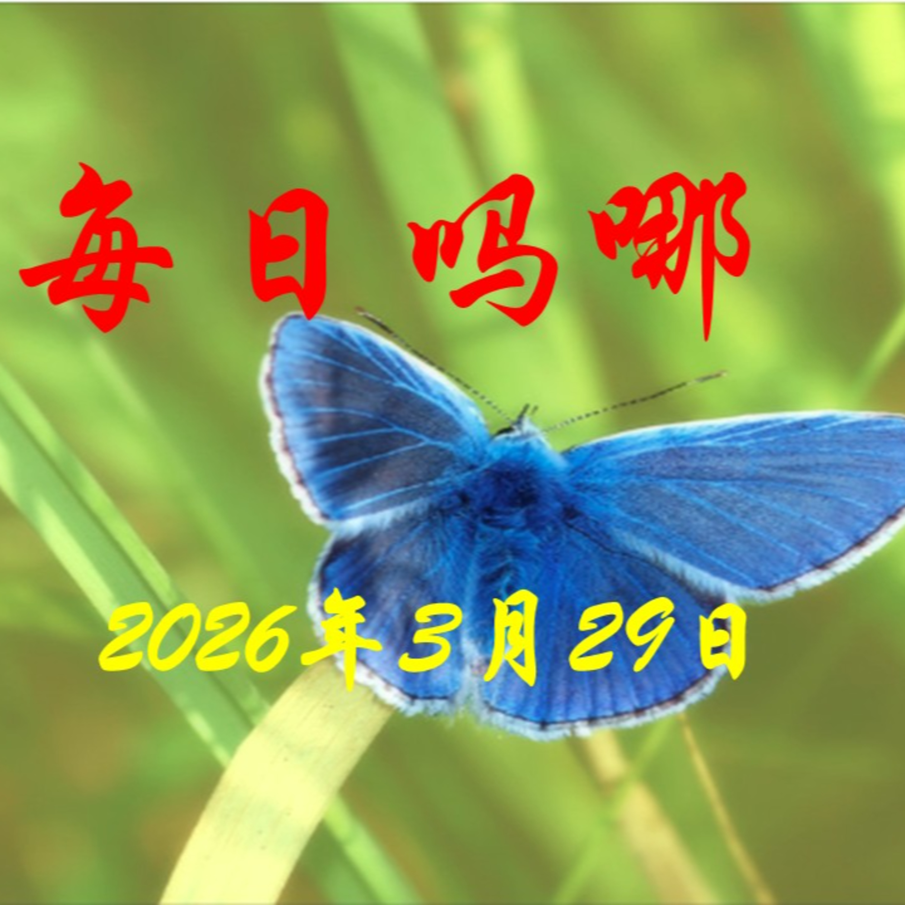 {每日吗哪}3月29日  为甚么找我呢？