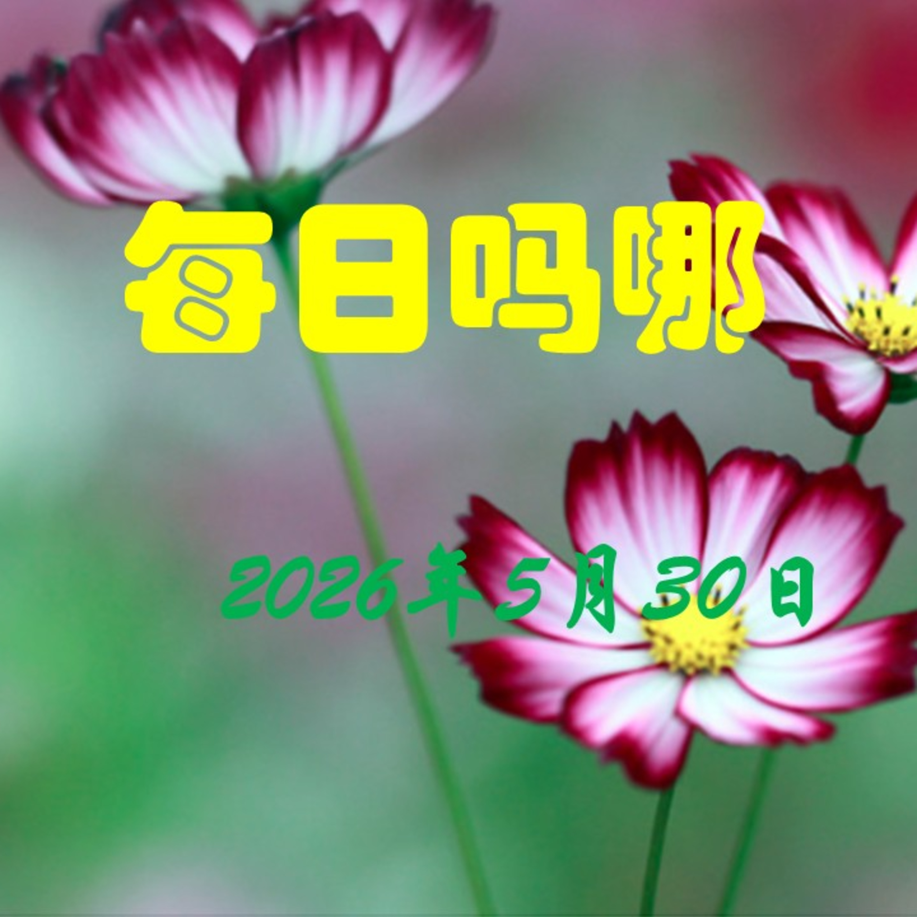 {每日吗哪}5月30日  最好的道路