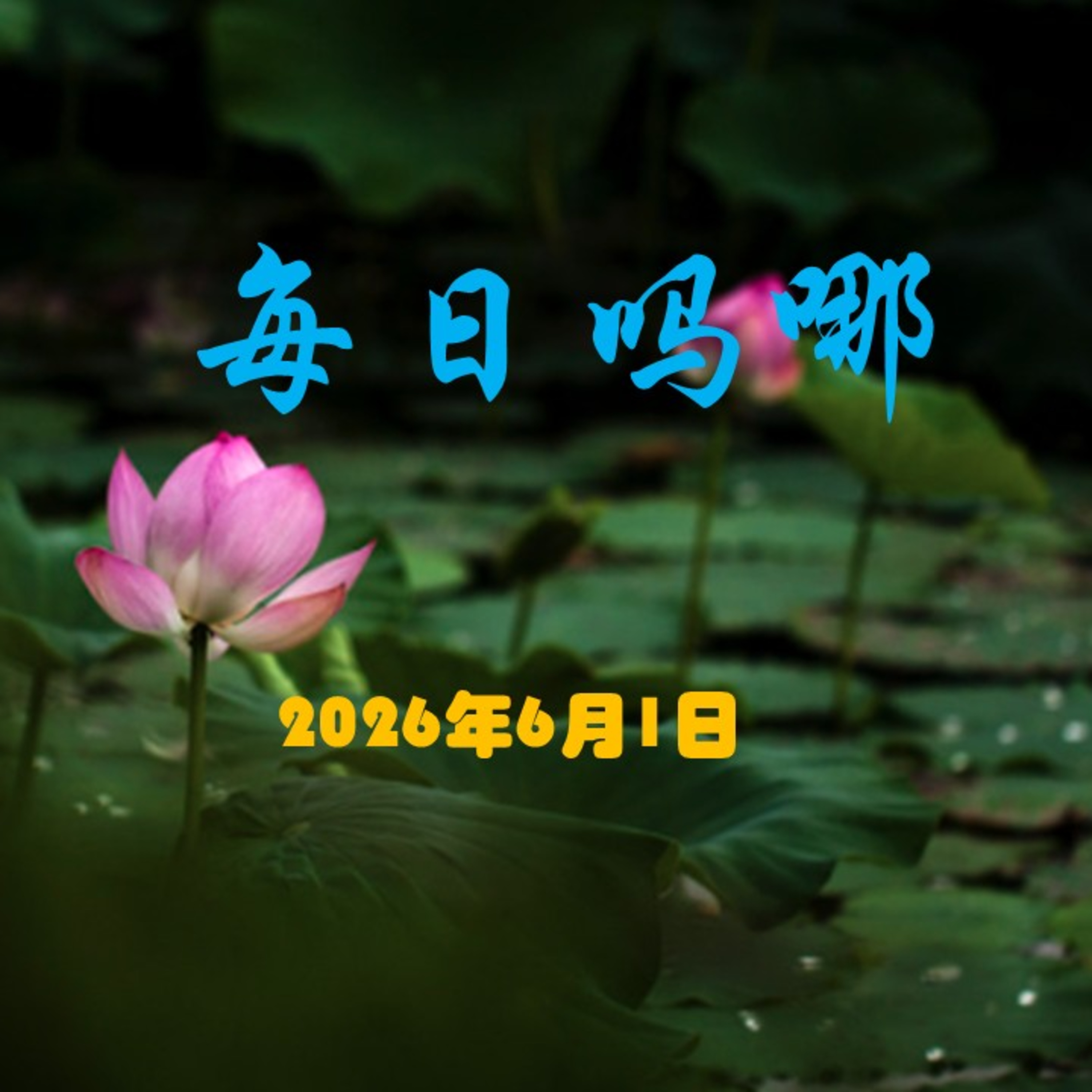 {每日吗哪}6月1日  神所赐的信心