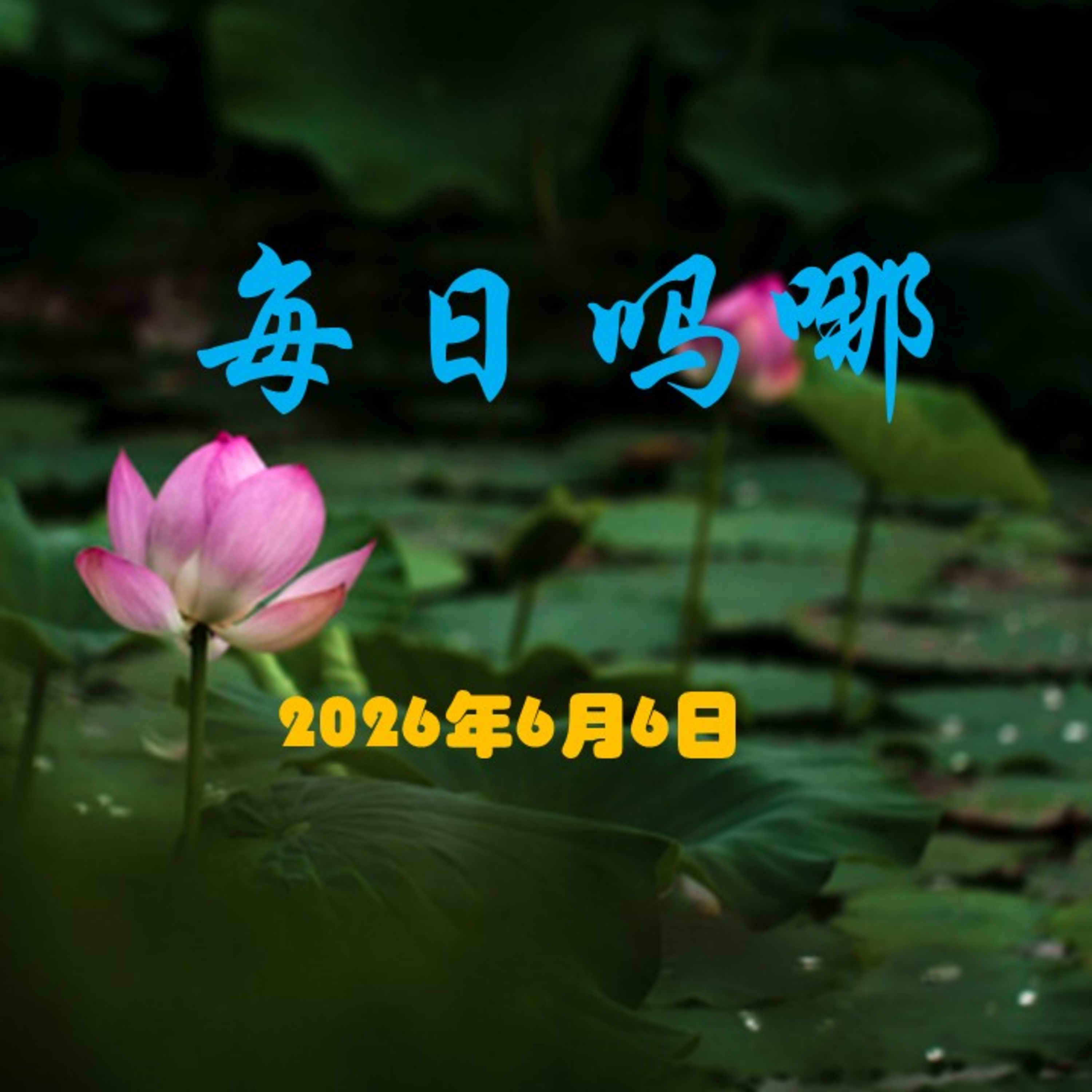 {每日吗哪}6月6日  过程