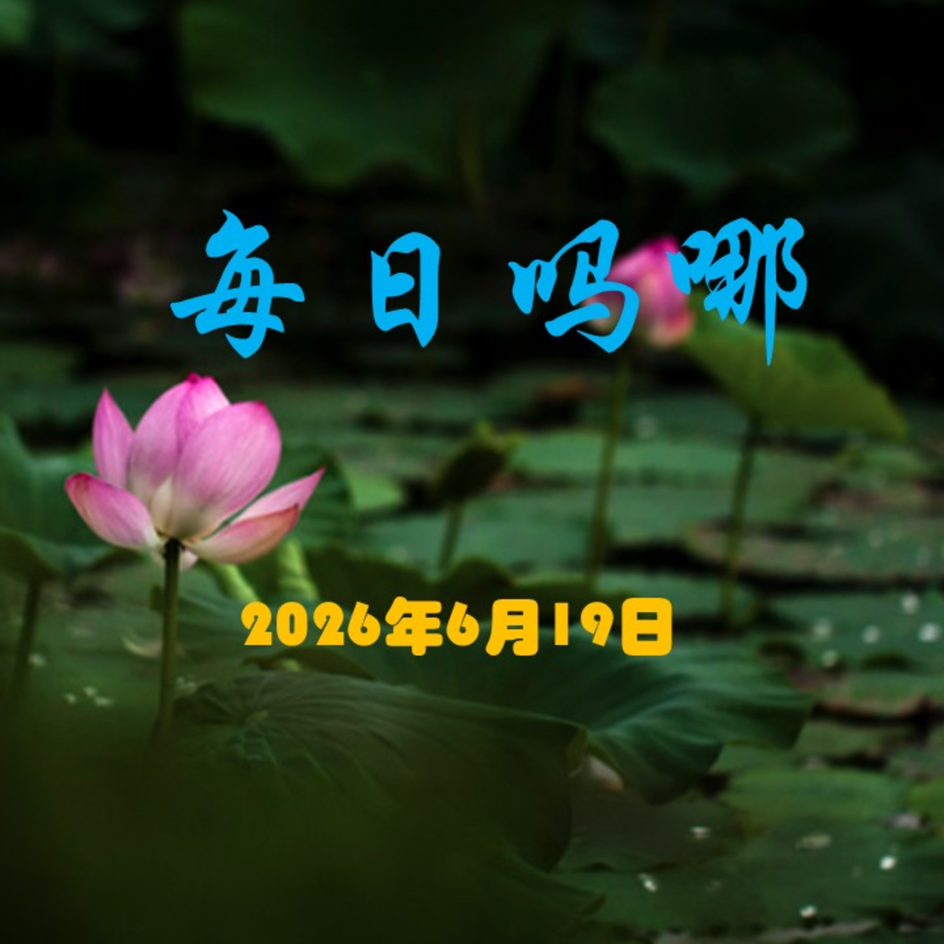 {每日吗哪}6月19日  安慰 episode artwork