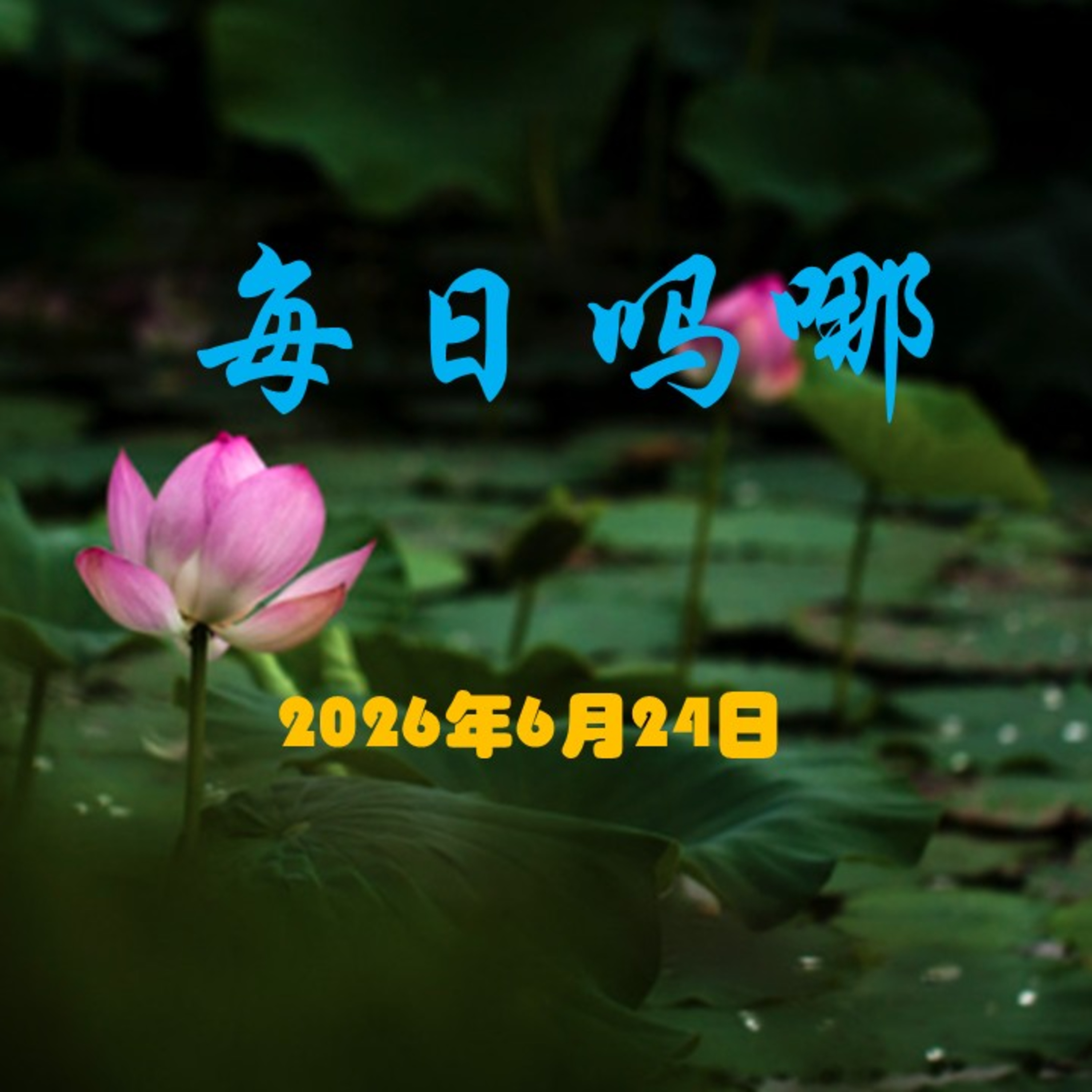 {每日吗哪}6月24日  盐的使命 episode artwork