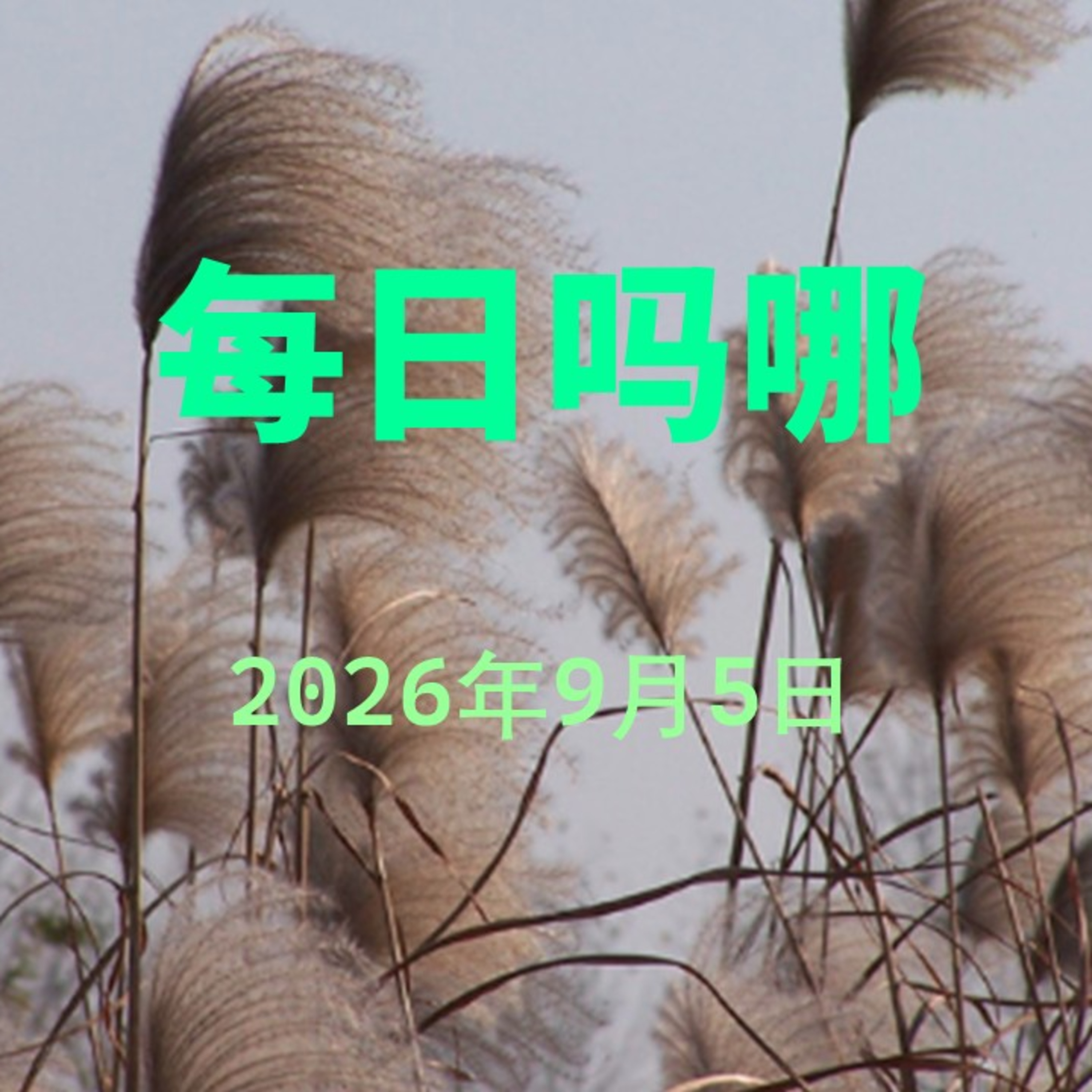 {每日吗哪}9月5日  高峰圣经会议 episode artwork