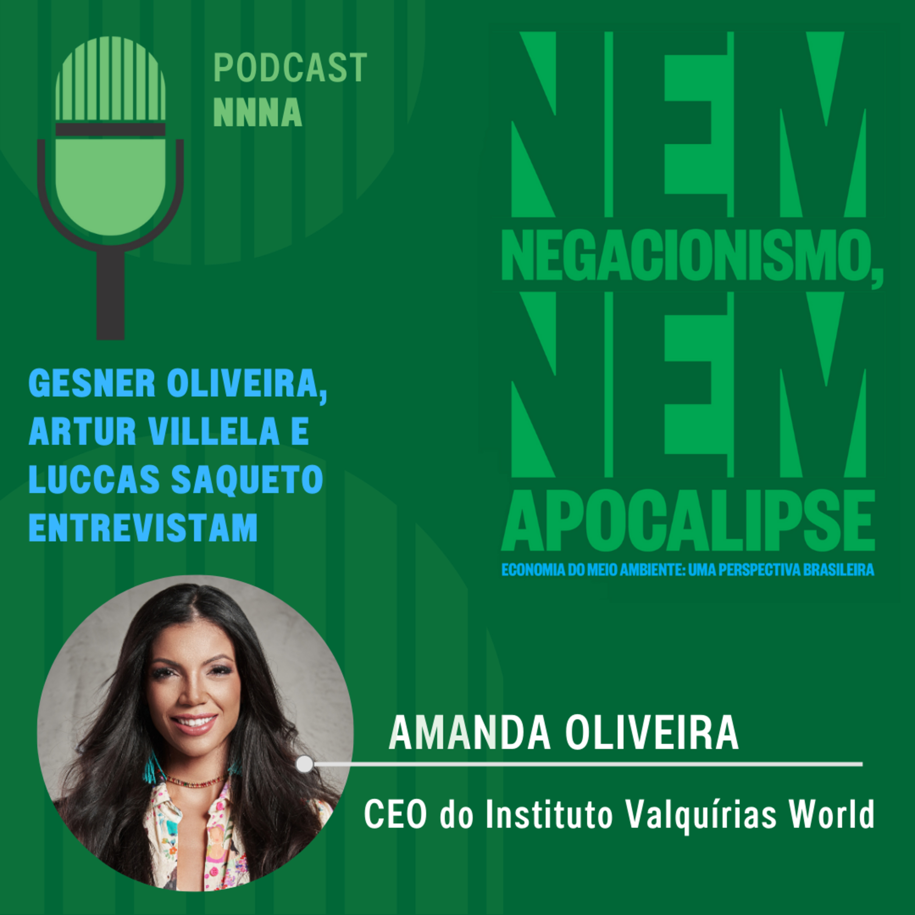 NNNA #85 - Entrevista com Amanda Oliveira, CEO do Valquirias World, por Gesner Oliveira e Artur Villela Ferreira episode artwork