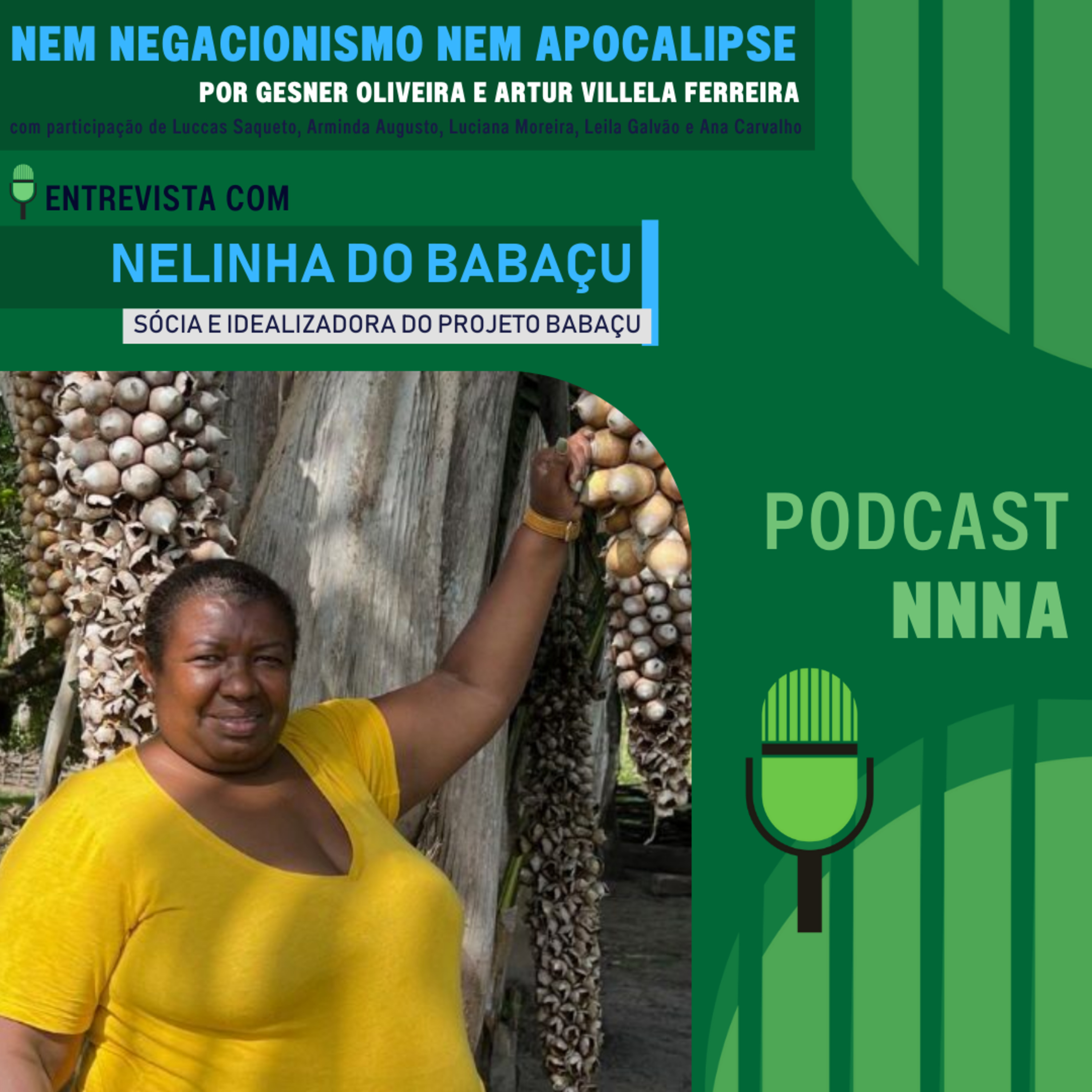 NNNA #169-Parte 2/2-Entrevista com Nelinha do Babaçu, sócia e idealizadora do Projeto Babaçu, por Gesner Oliveira e Artur Villela Ferreira episode artwork
