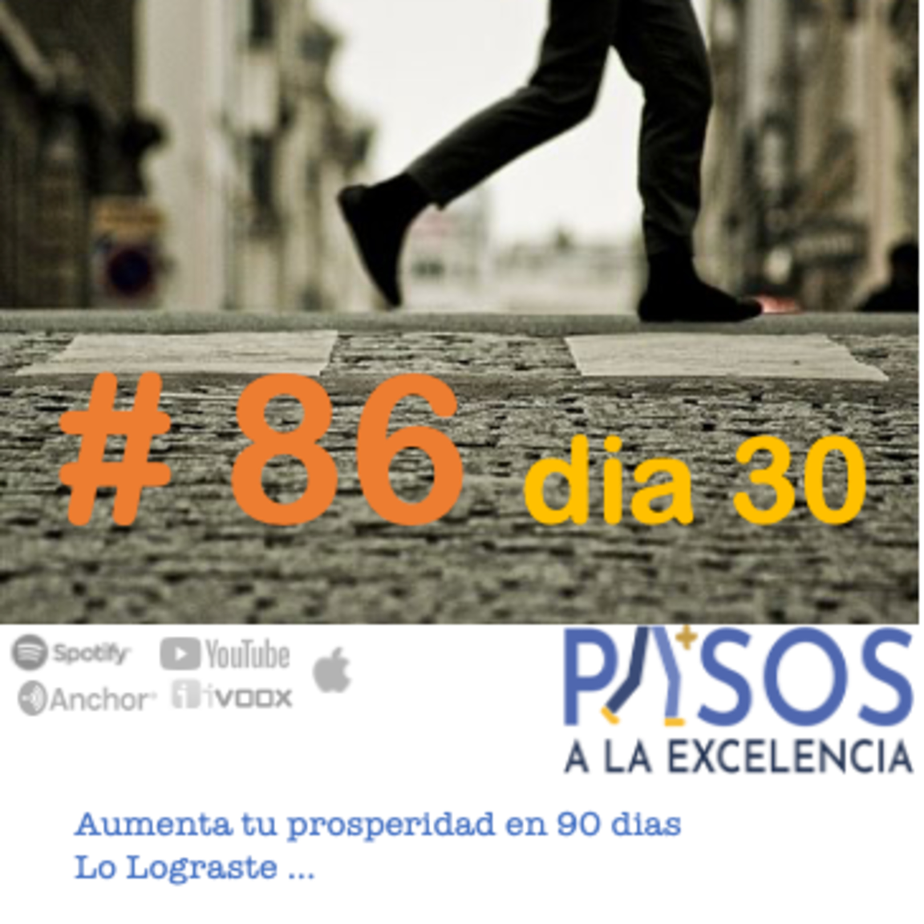 Pasos a la Excelencia