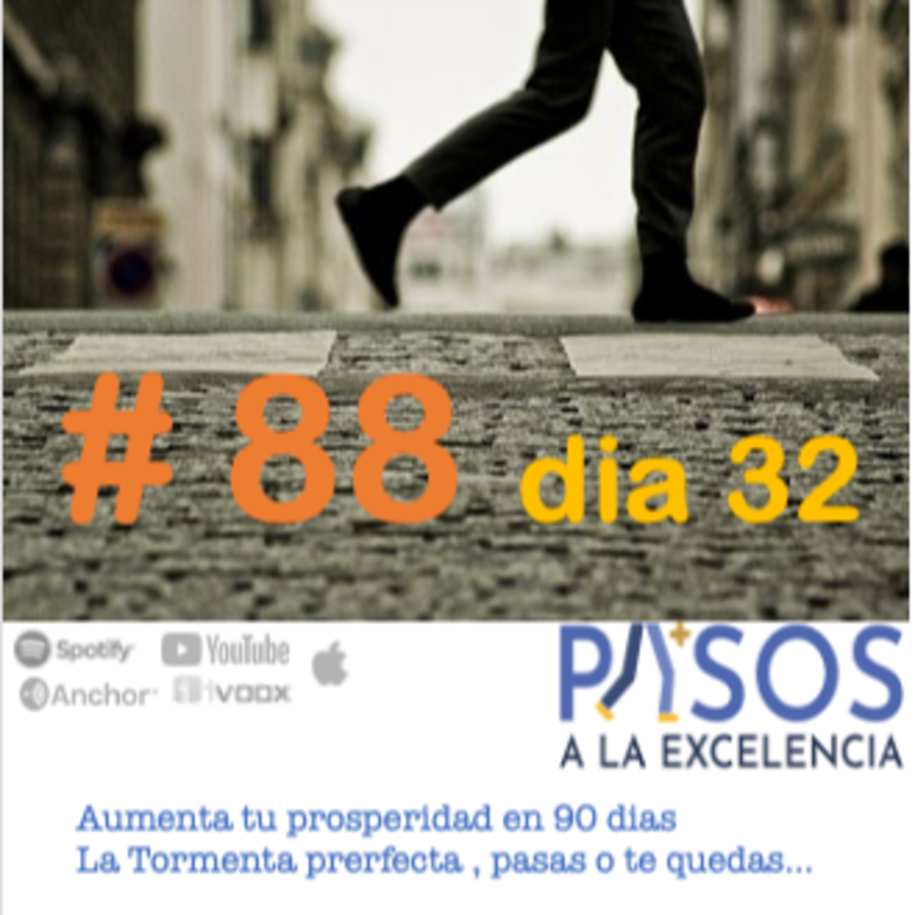 Pasos a la Excelencia