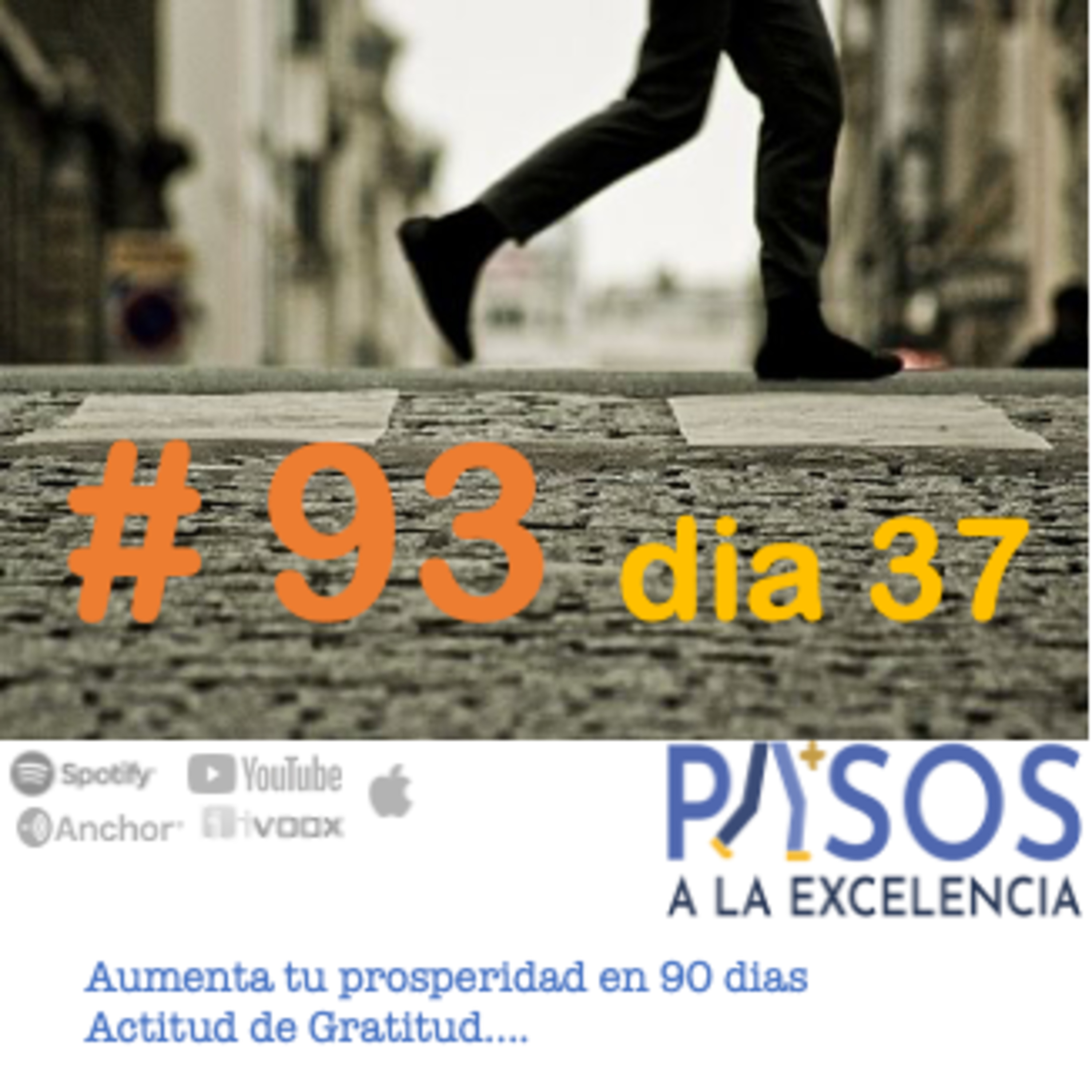Pasos a la Excelencia