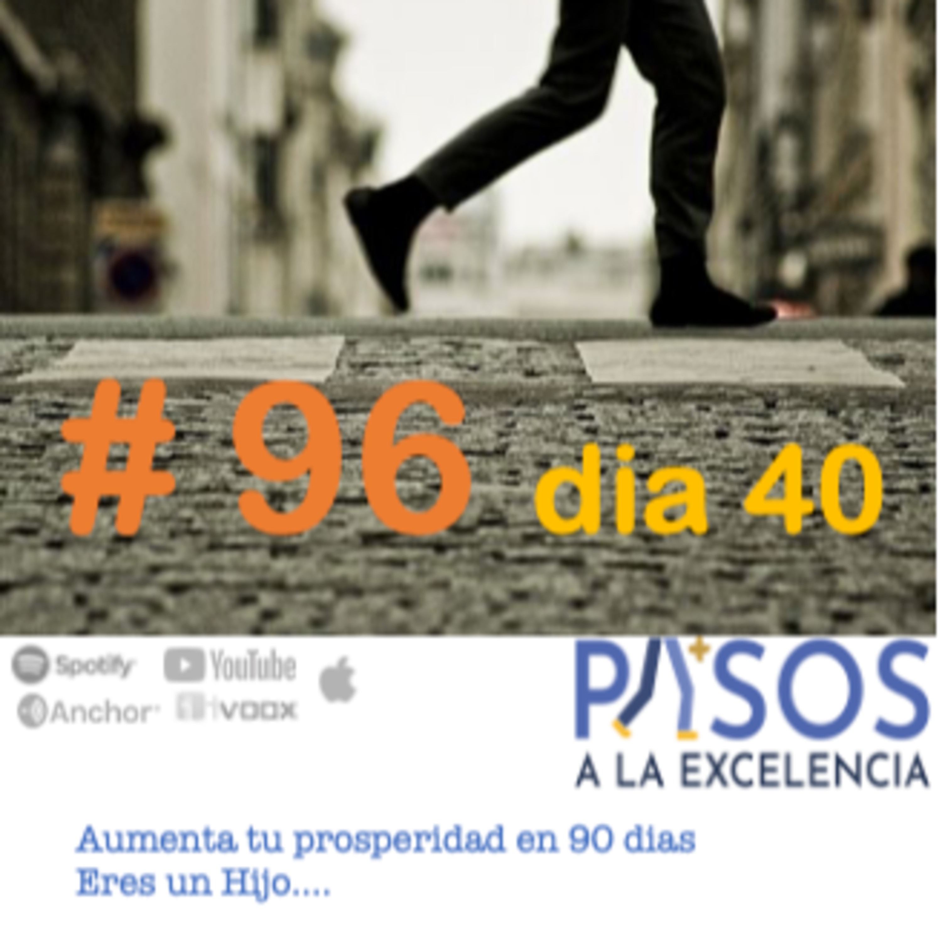 Pasos a la Excelencia