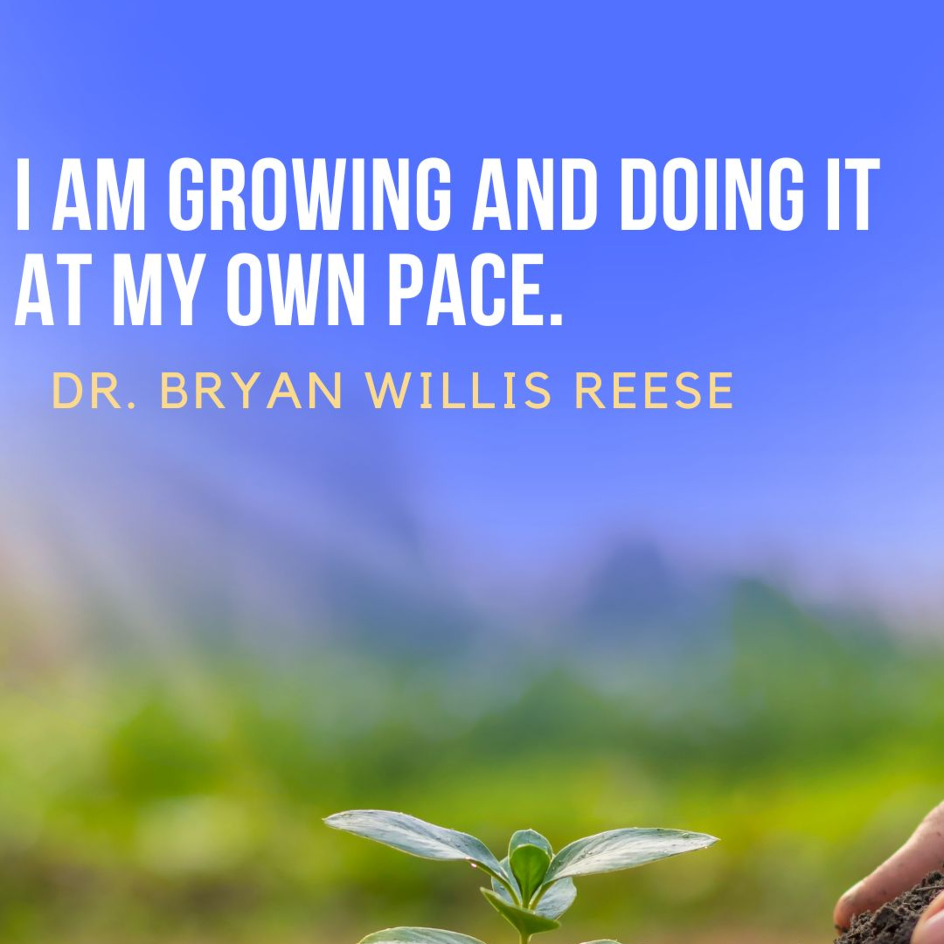 Bryan Willis Reese