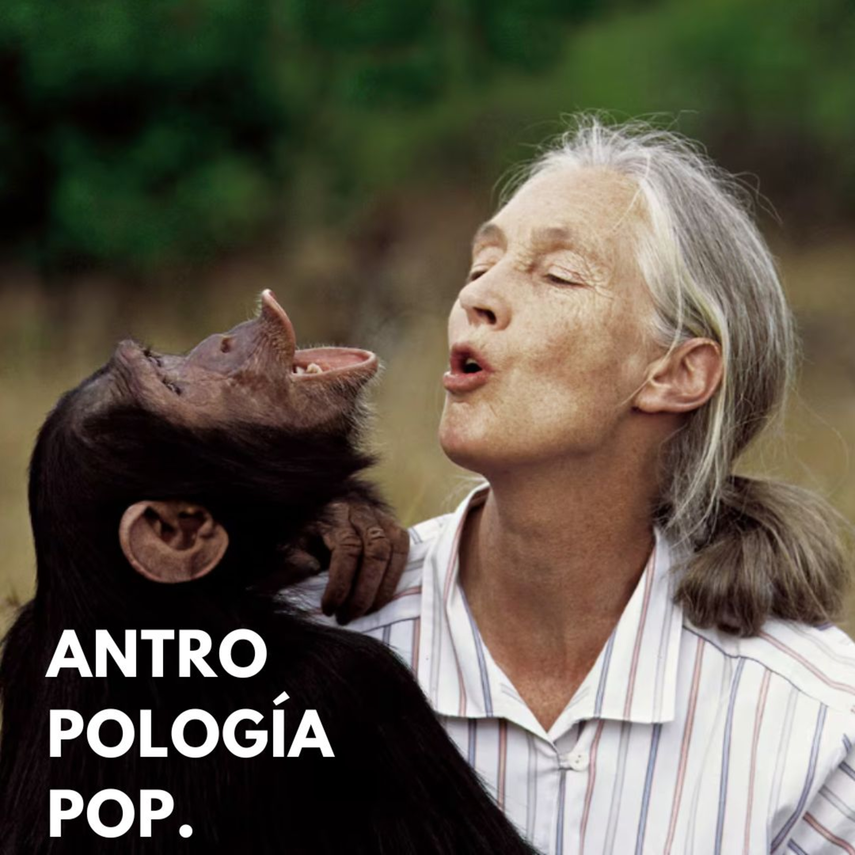 Antropología pop