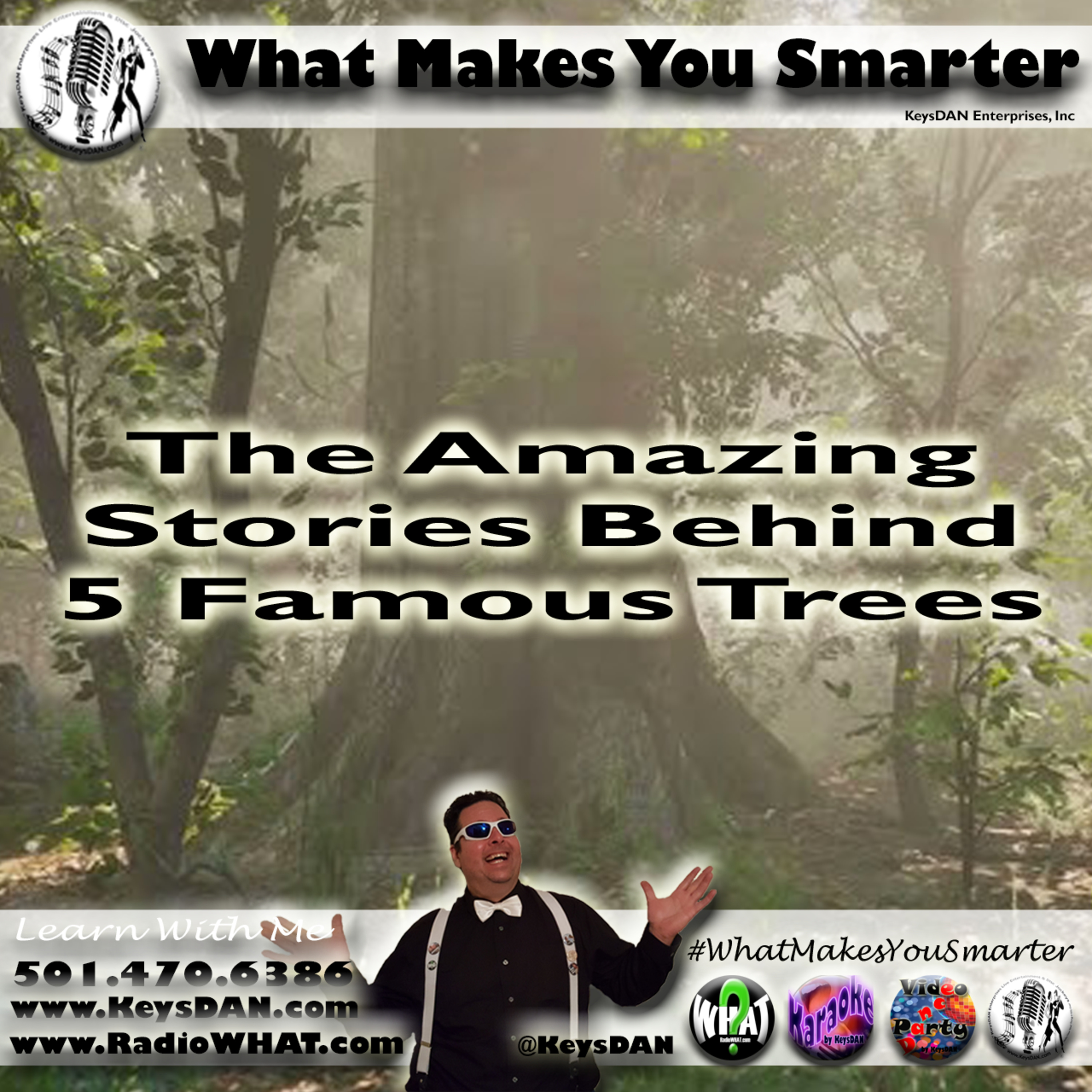 The Amazing Stories Behind 5 Famous Trees What Makes You Smarter #PODCAST #WhatMakesYouSmarter @KeysDAN  episode artwork