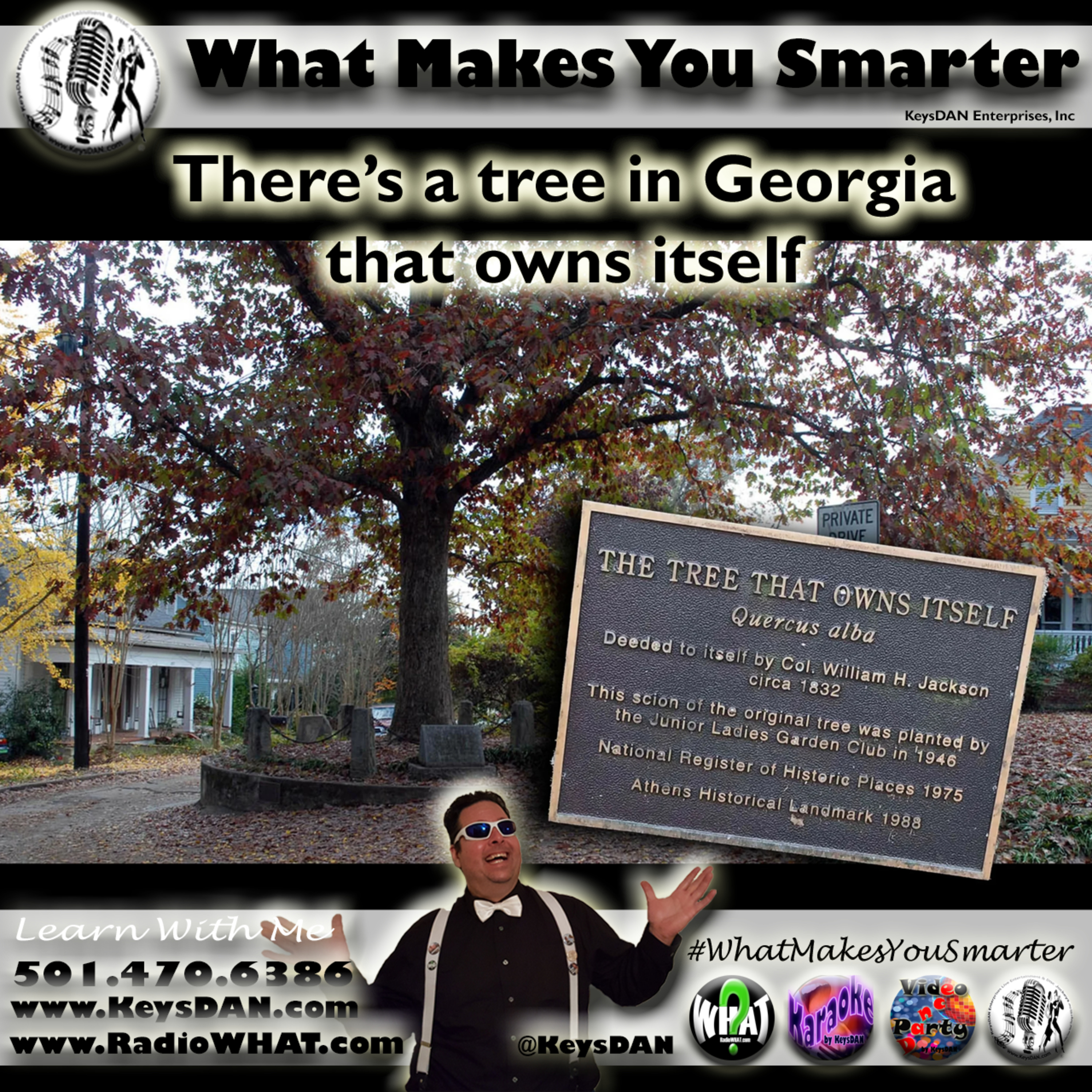 There’s a tree in Georgia that owns itself. #PODCAST #WhatMakesYouSmarter #KeysDANShow @KeysDAN episode artwork