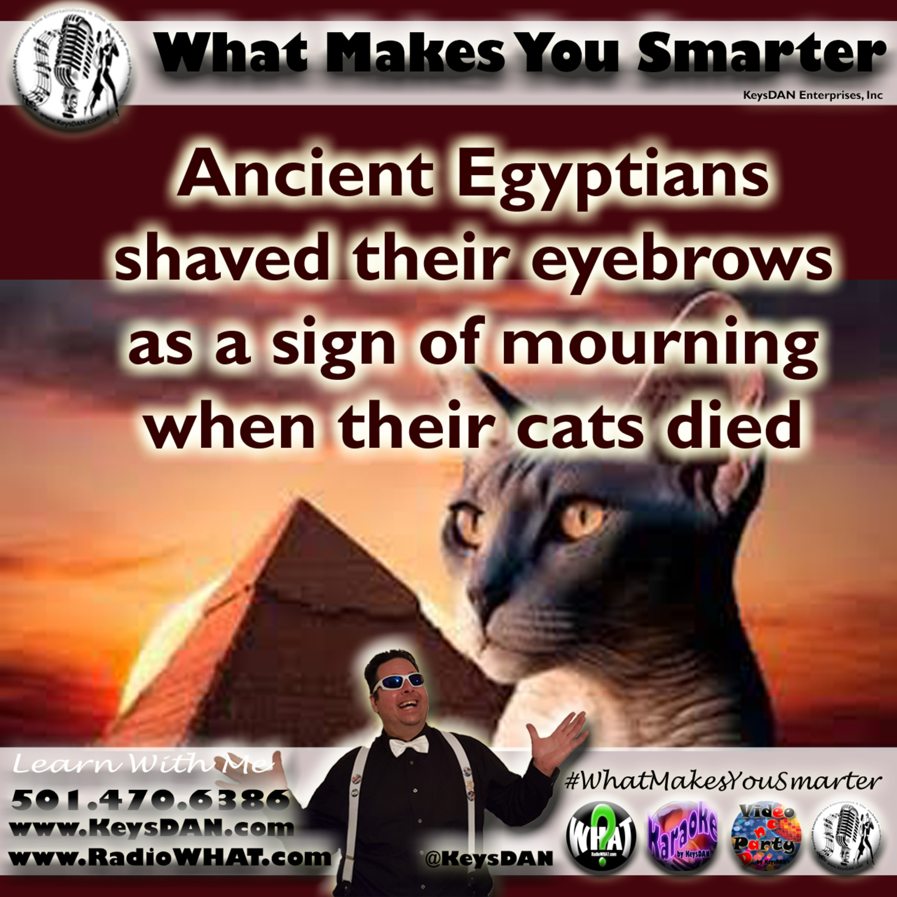 Ancient Egyptians shaved their eyebrows as a sign of mourning when their cats died #PODCAST #WhatMakesYouSmarter #KeysDANShow @KeysDAN episode artwork
