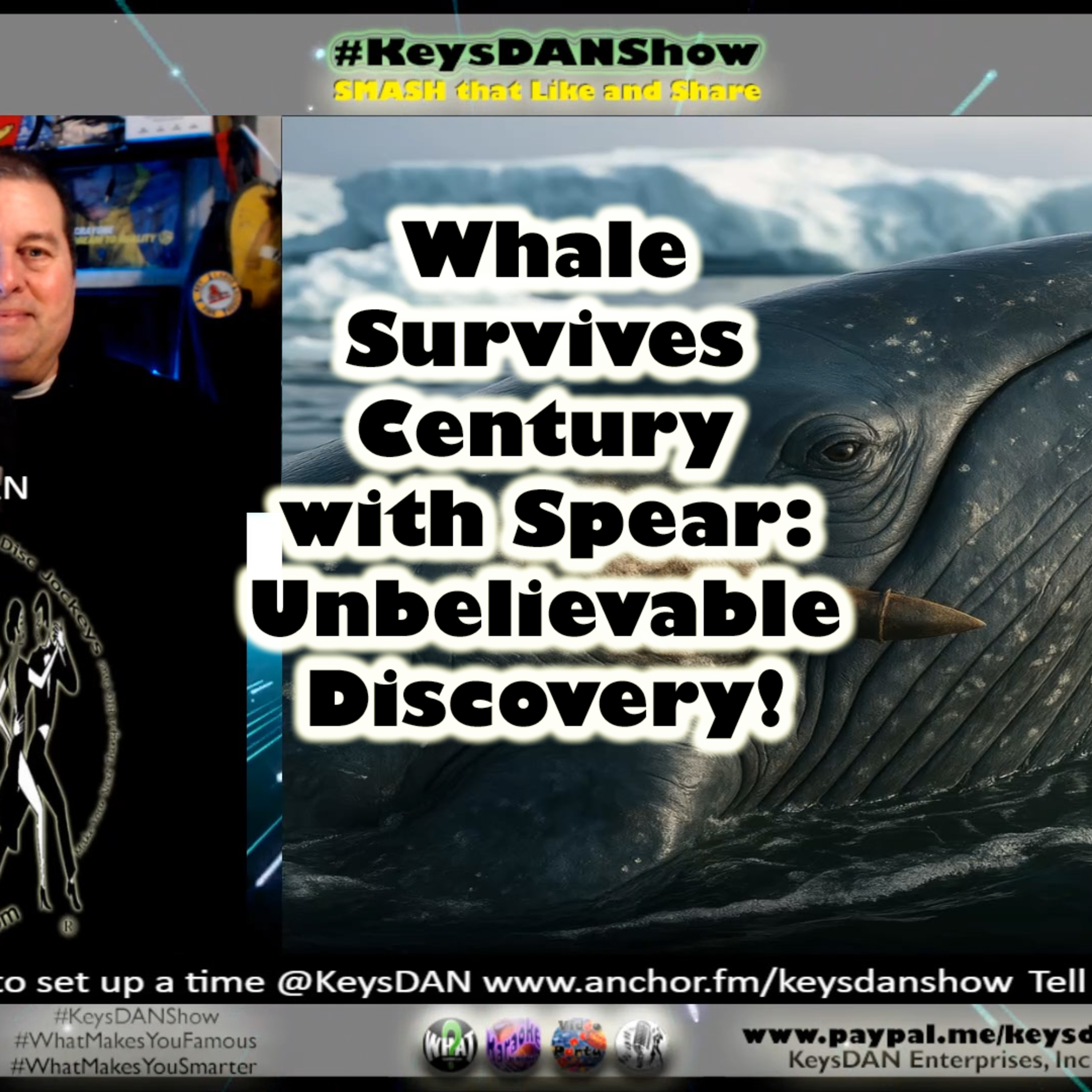 Whale Survives Century with Spear: Unbelievable Discovery! KeysDAN Show #FACTS #KeysDANShow @KeysDAN episode artwork