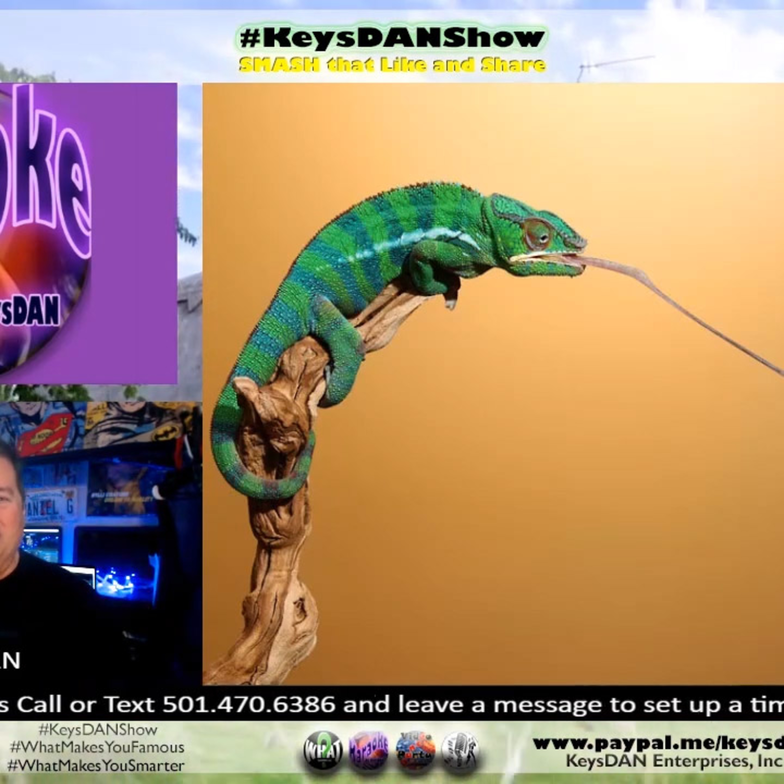 Chameleon Tongues: Fastest Gun in the Animal Kingdom! KeysDAN Show #Science #KeysDANShow @KeysDAN episode artwork