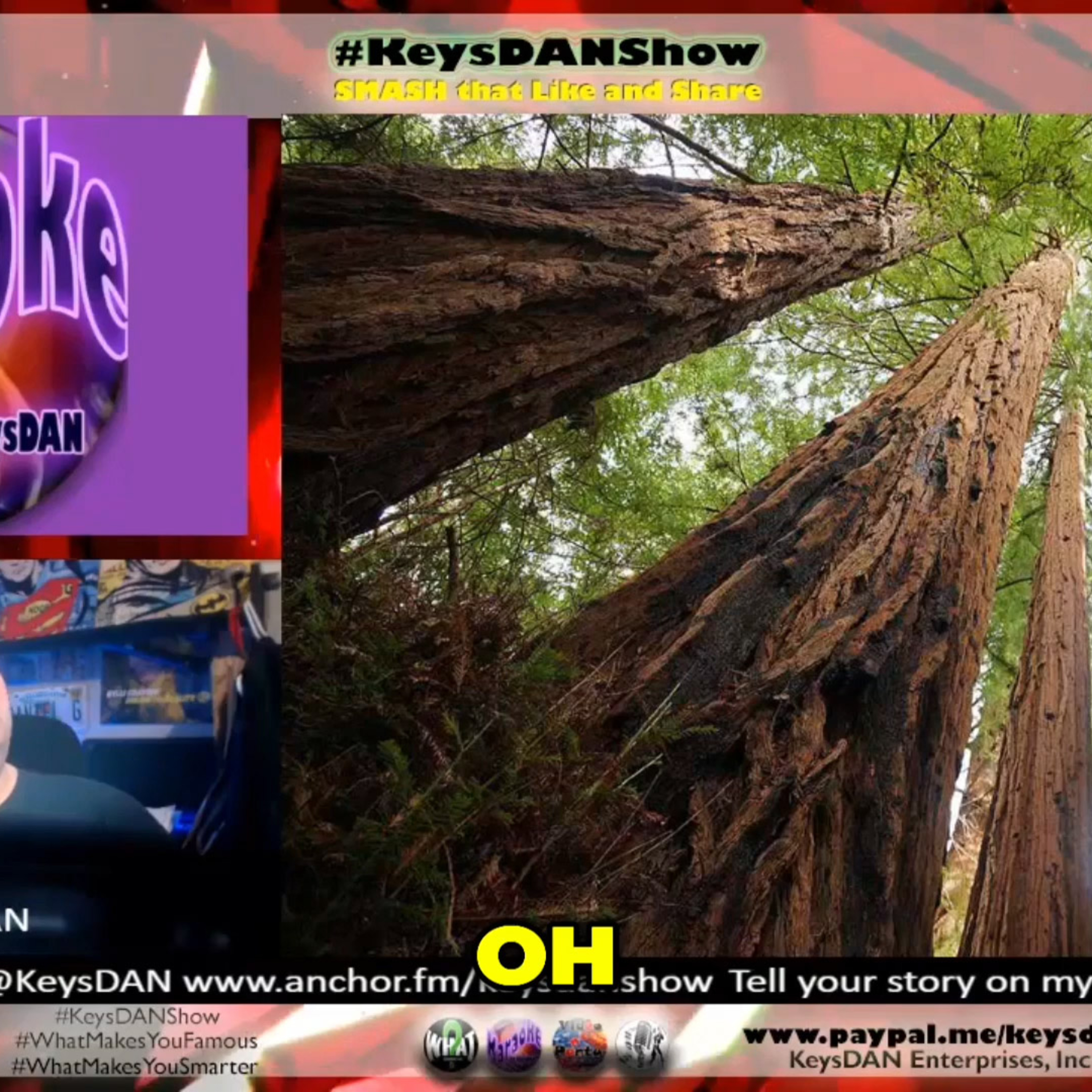 Tallest Beings: Meet Hyperion, the Giant Redwood! #FACTS KeysDAN Show #KeysDANShow @KeysDAN episode artwork