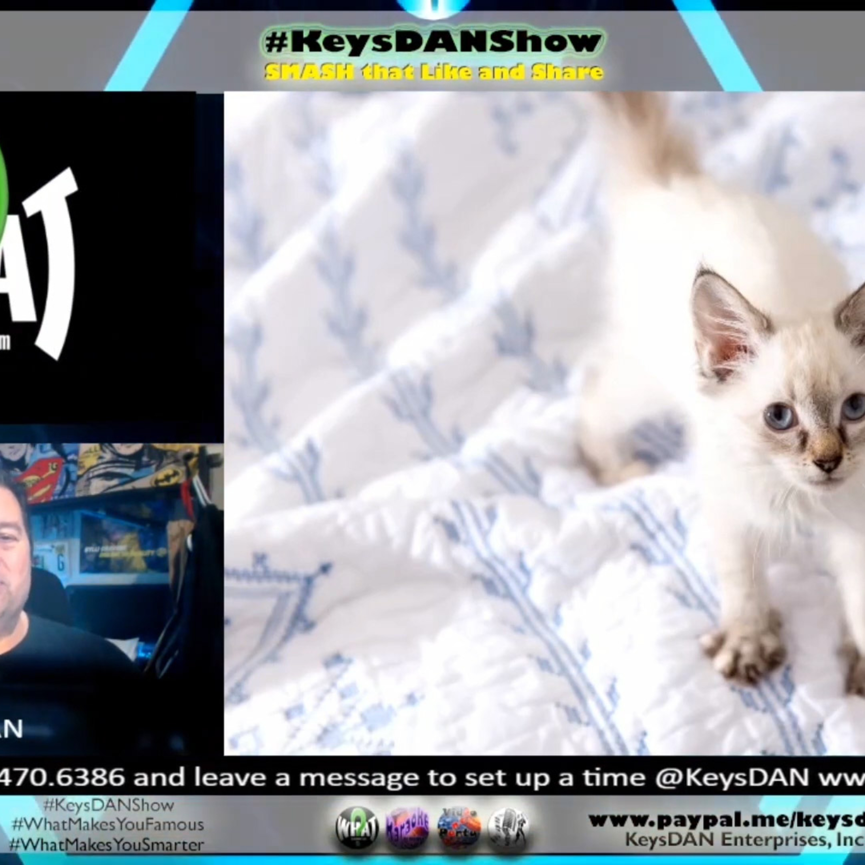 Why Do Cats Make Biscuits? The Adorable Truth! #FACTS KeysDAN Show #KeysDANShow @KeysDAN episode artwork