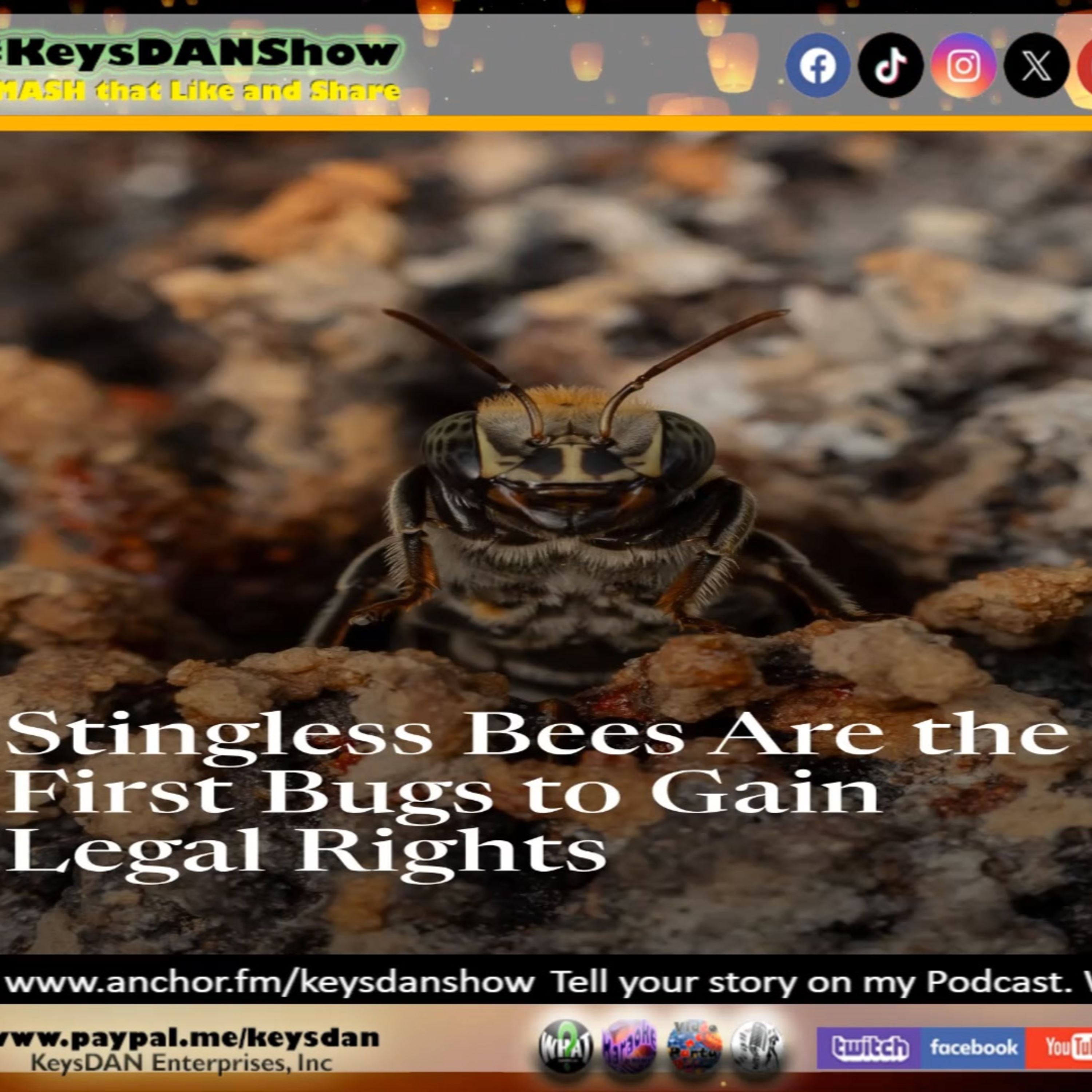 Insects Get Legal Rights: Amazon Stingless Bees Lead! KeysDAN Show #NEWS #KeysDANShow @KeysDAN episode artwork