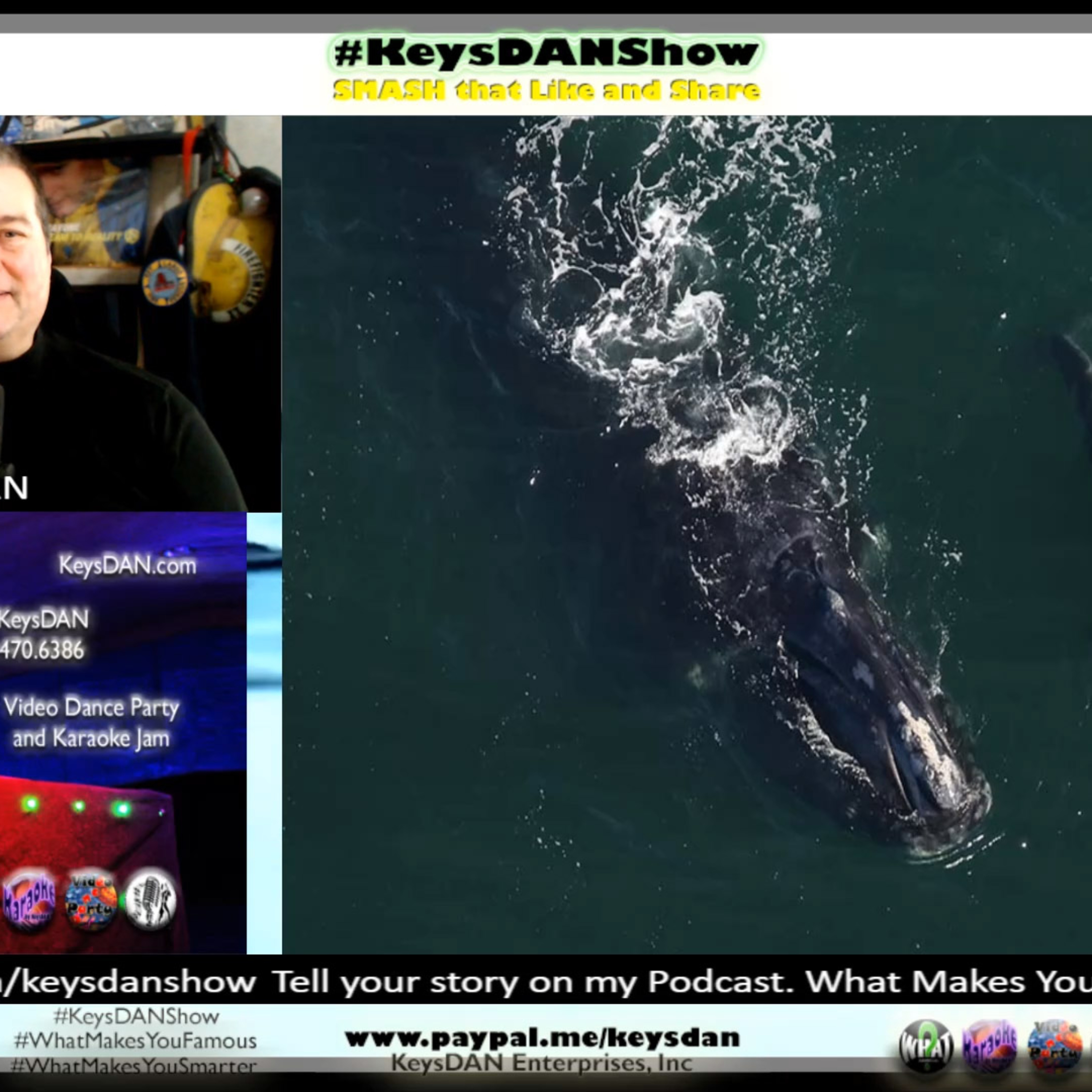North Atlantic Right Whale Calves: A Miracle of Hope KeysDAN Show #Nature #KeysDANShow @KeysDAN episode artwork