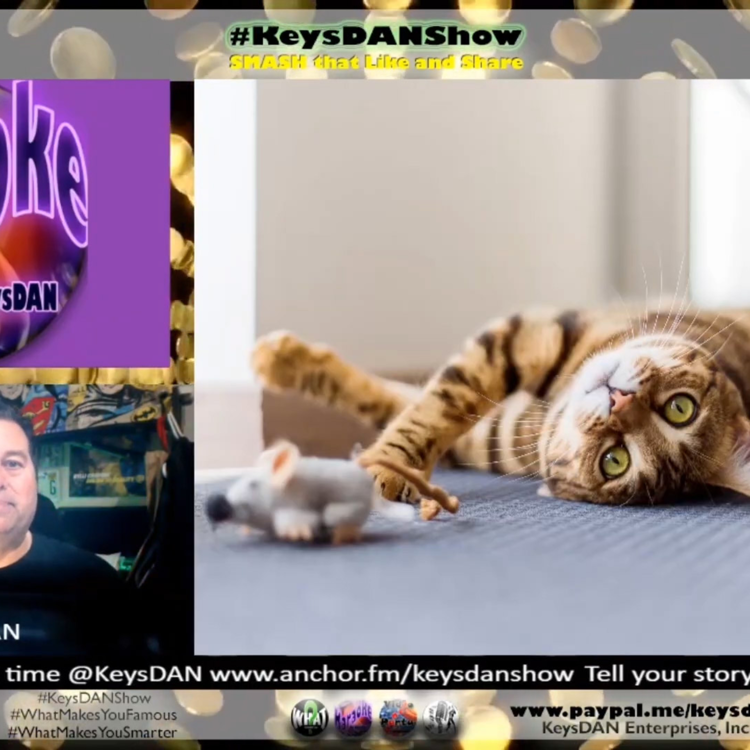 Catnip Explained: Why Your Cat Goes WILD! #FACTS KeysDAN Show #KeysDANShow @KeysDAN episode artwork