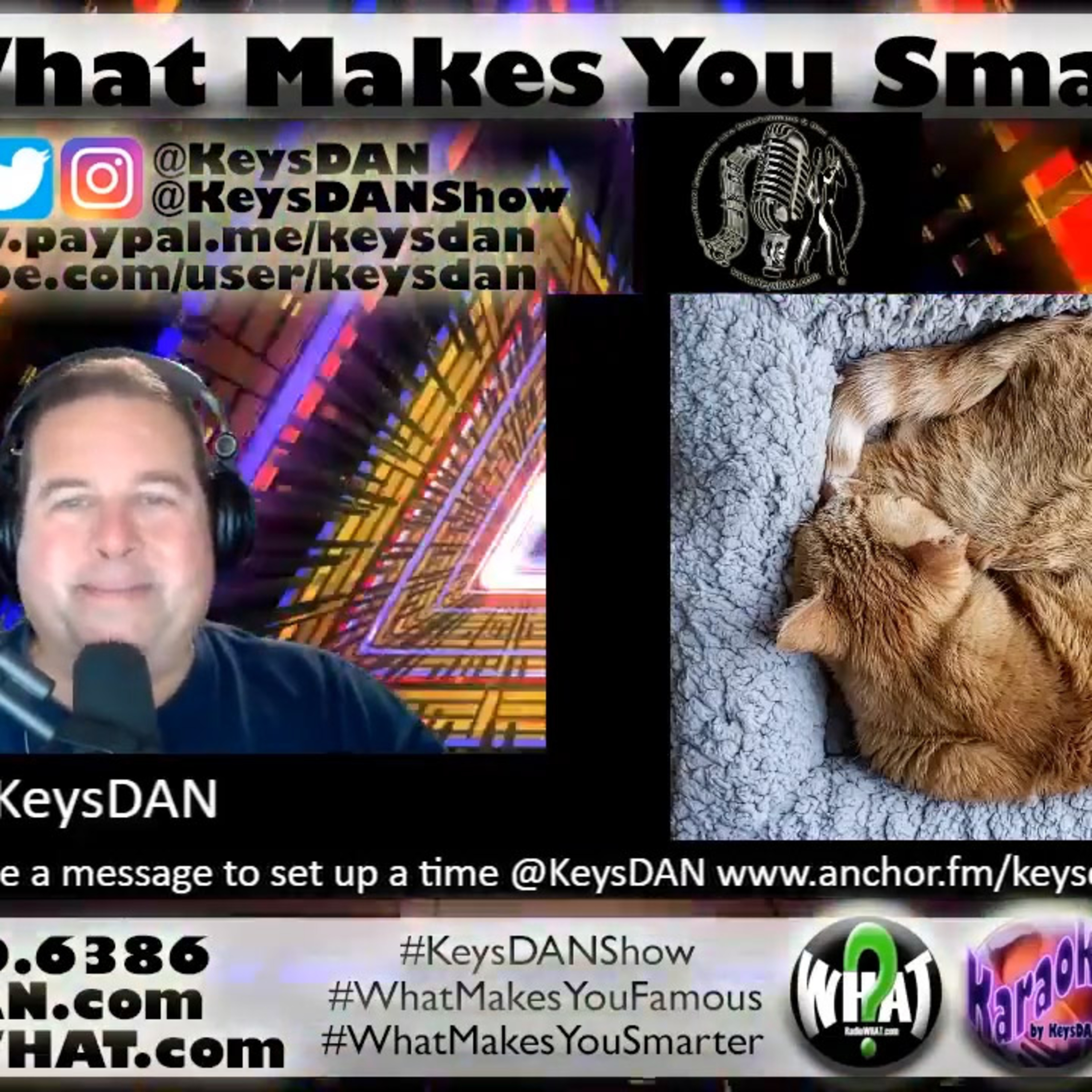 Why Cats Sleep SO Much: Amazing Feline Facts Revealed! #FACTS KeysDAN Show #KeysDANShow @KeysDAN episode artwork