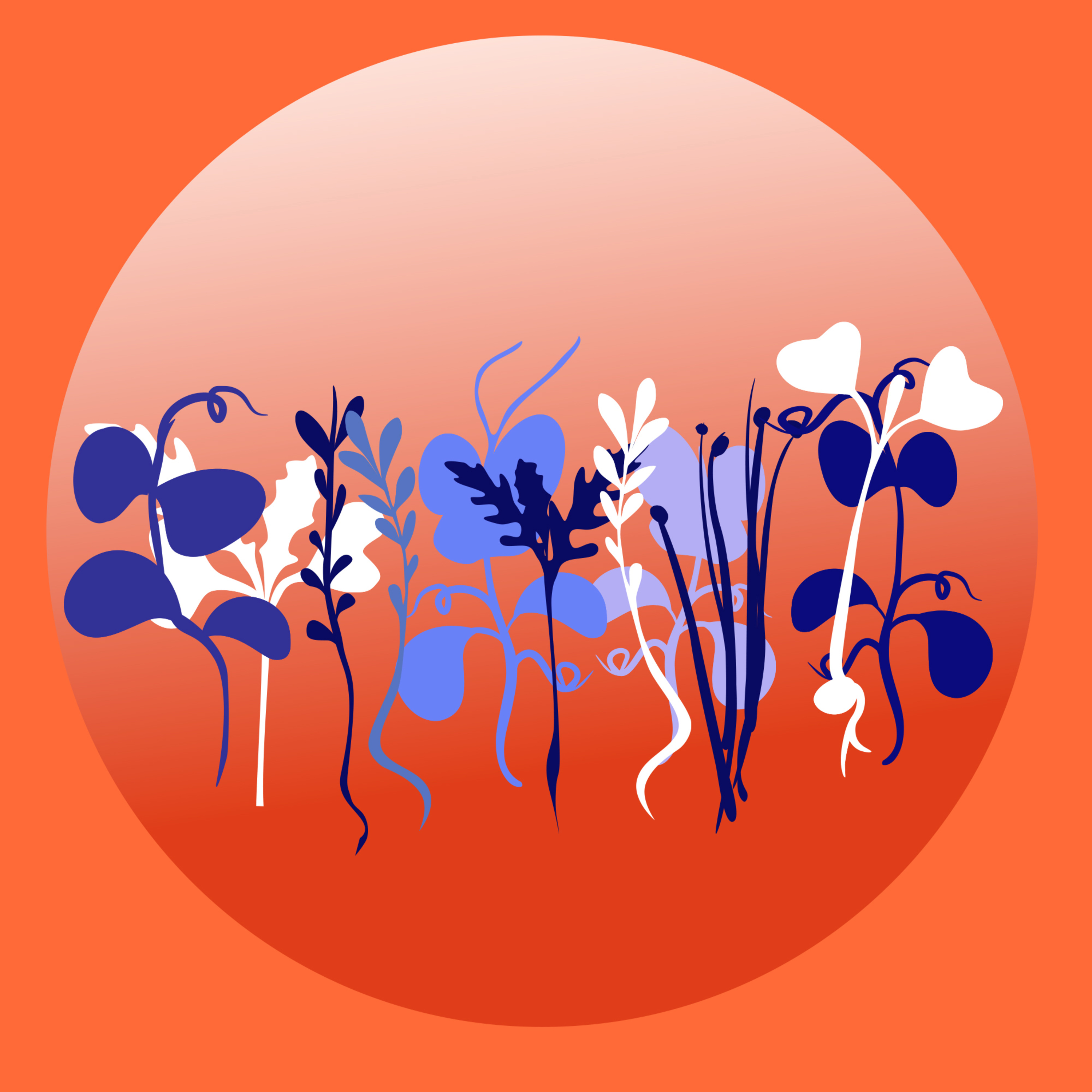 Сити-ферма. Можно ли заниматься фермерством в городе? podcast