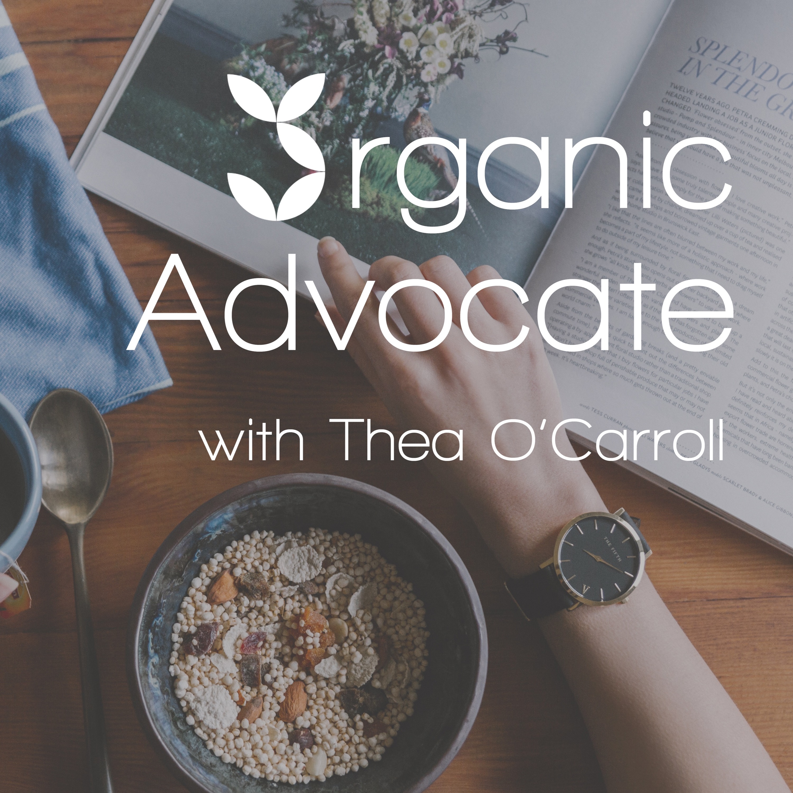 Harvest Time | Gratitude: What are you grateful for today? episode artwork