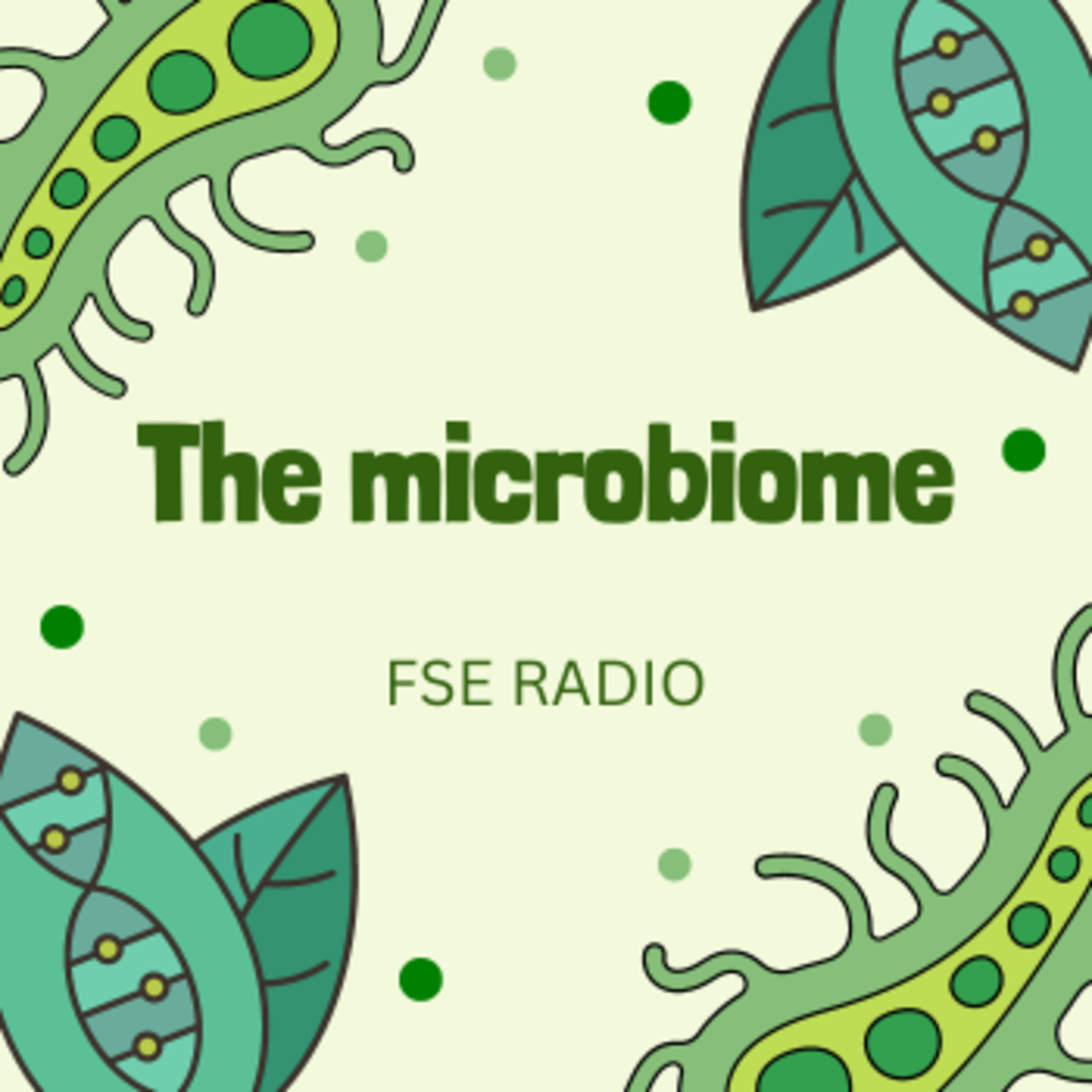 FSE Radio
