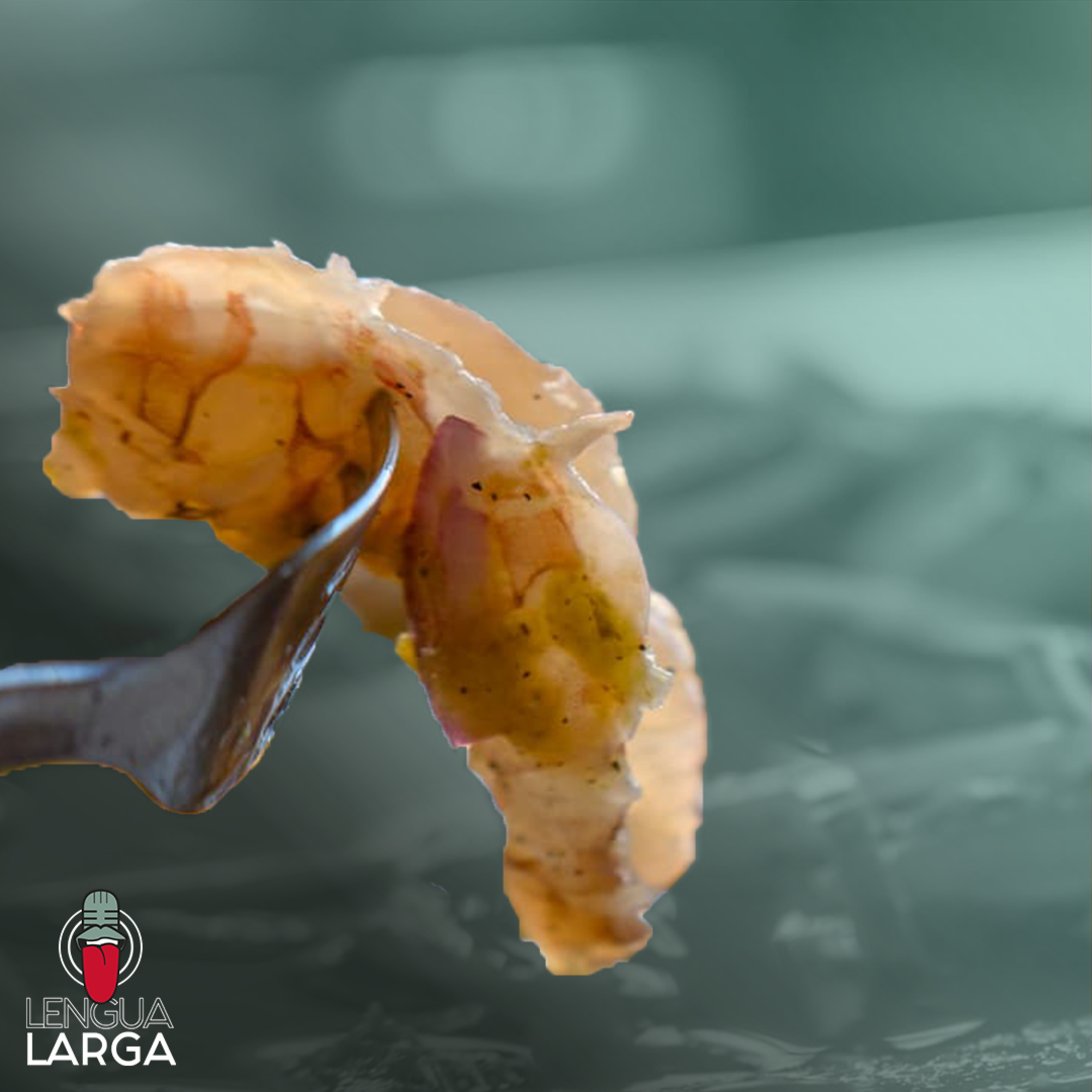 La herenica de Jacinta | LENGUA LARGA PODCAST T1:E106 episode artwork
