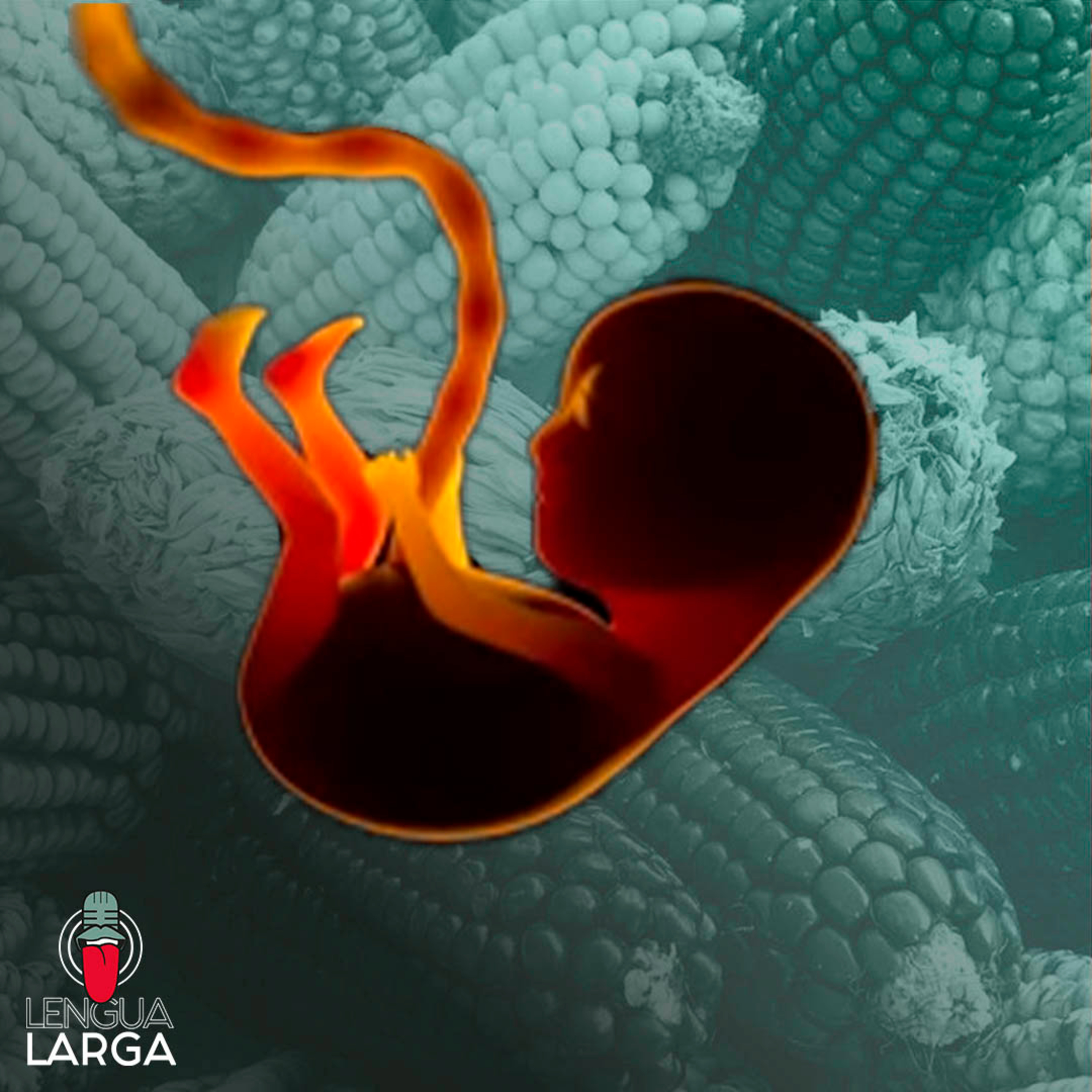 Elote umbilica l LENGUA LARGA PODCAST T1:E141 episode artwork