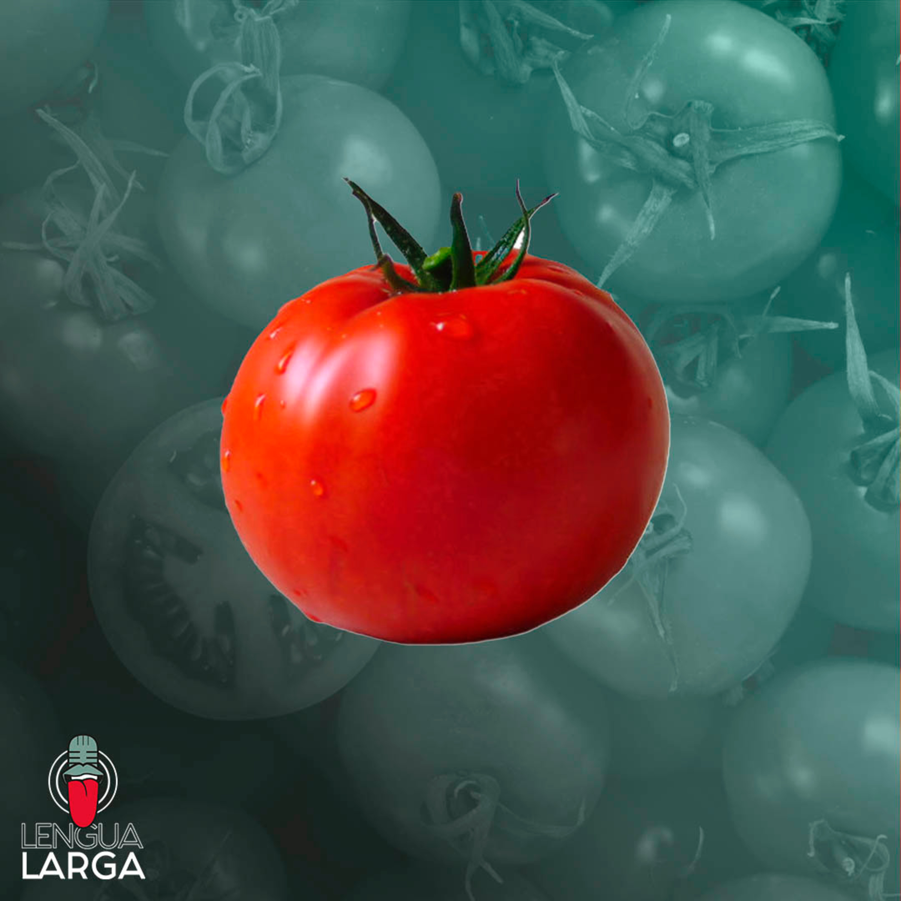 Lengua Larga