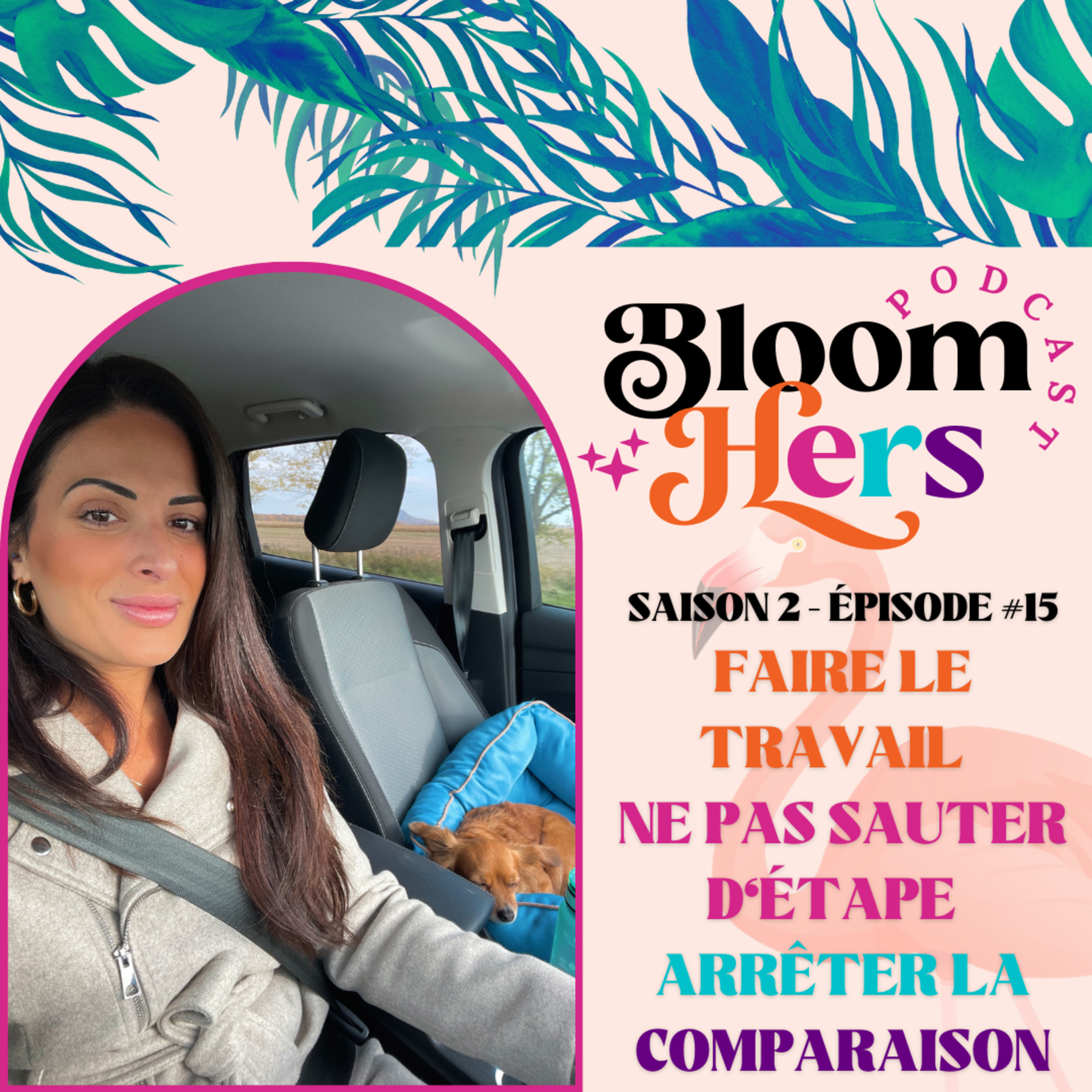 #25-FAIRE LE TRAVAIL ET NE PAS SAUTER D’ÉTAPE? ARRÊTER LA COMPARAISON! episode artwork