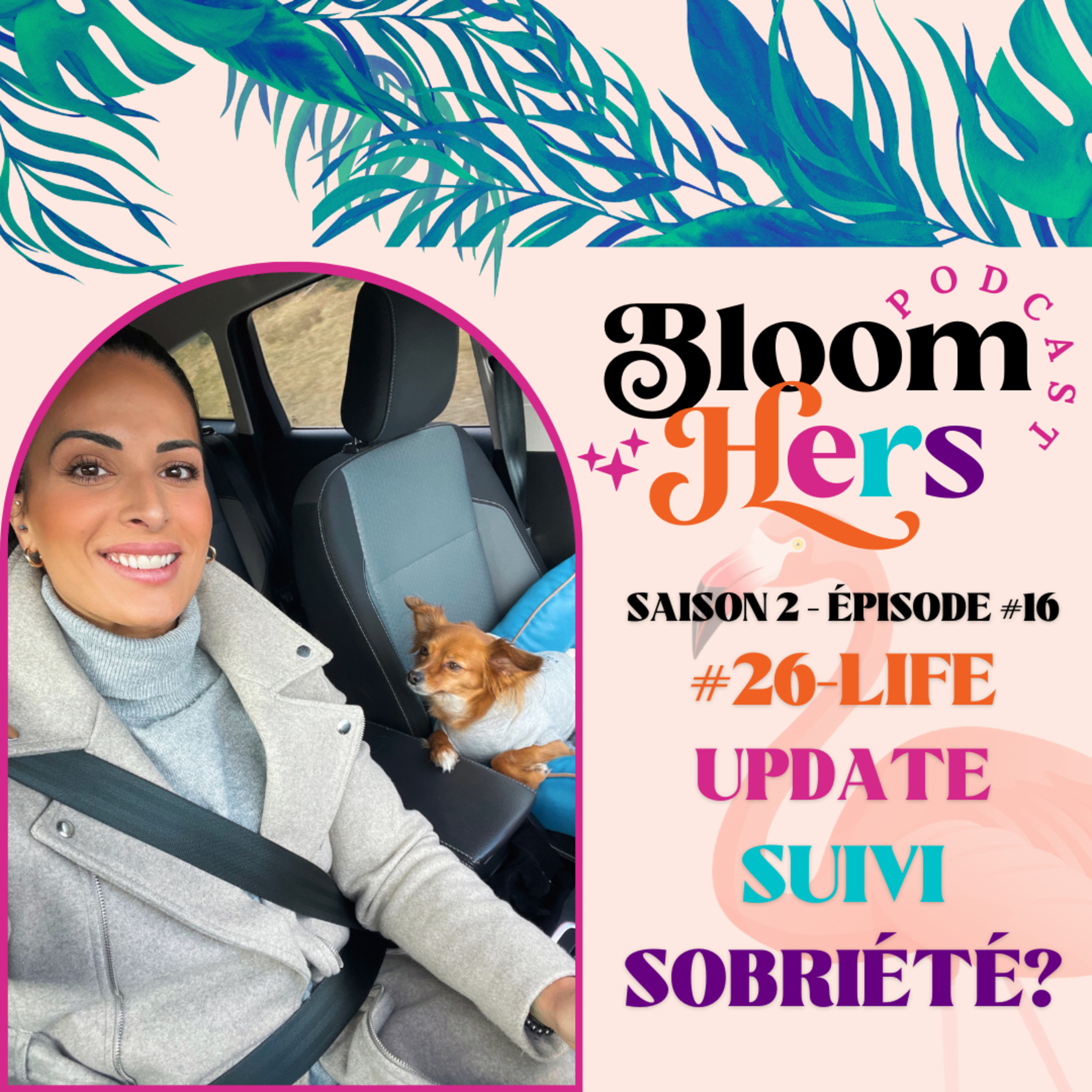 #26-LIFE UPDATE-SUIVI SOBRIÉTÉ?