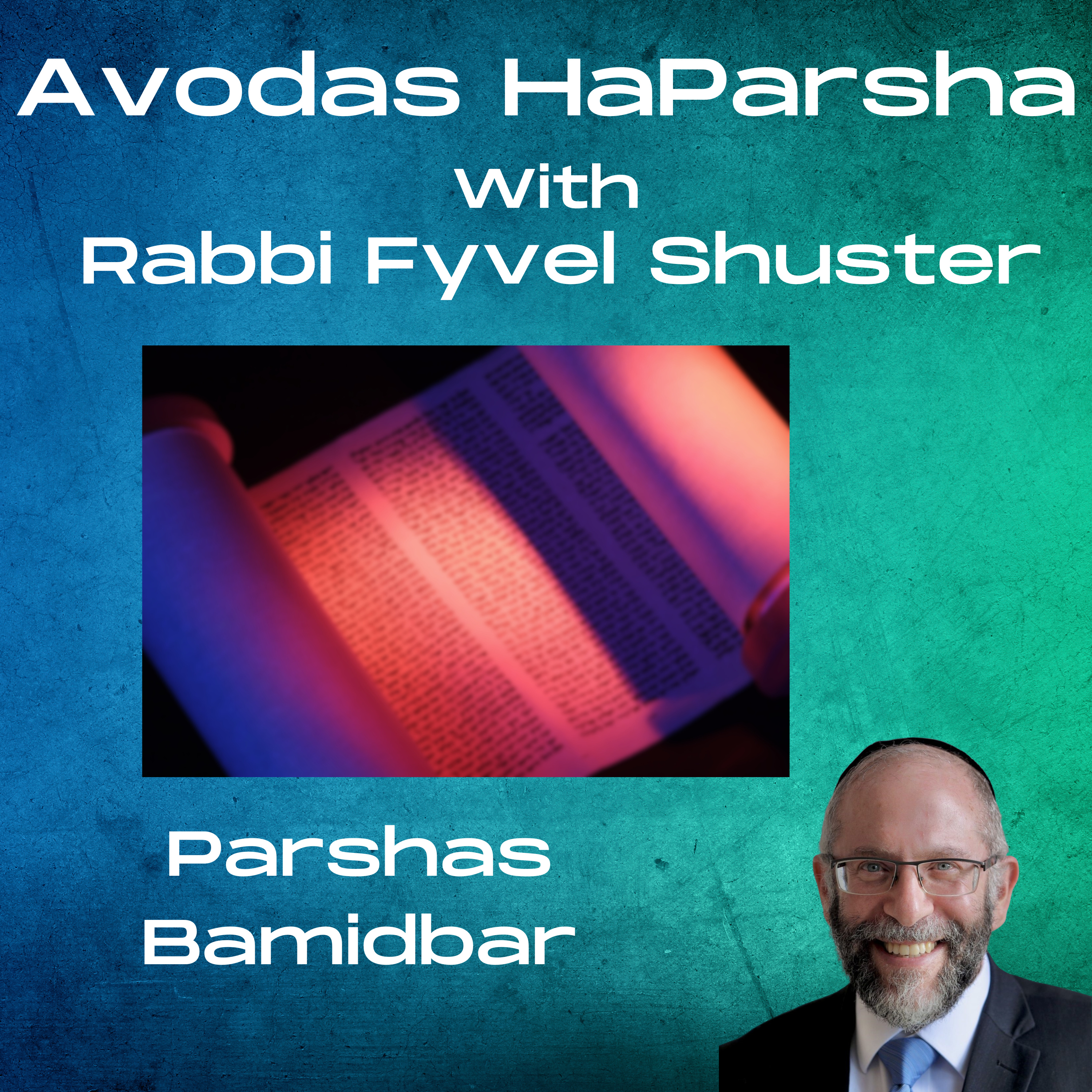 Numbers and Letters - Avodas HaParsha - Parshas Bamidbar episode artwork