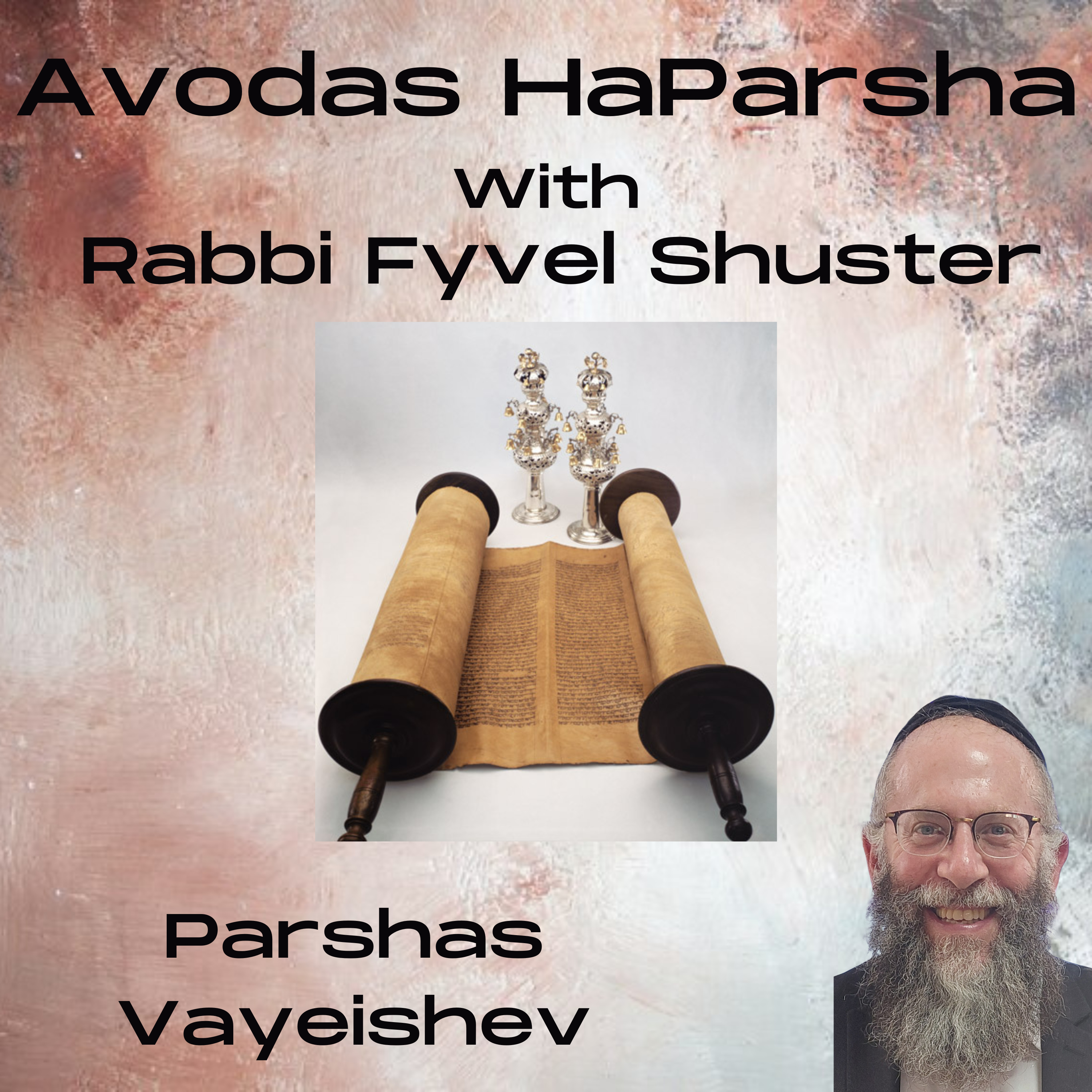 Just Say No - Avodas HaParsha - Parshas Vayeishev episode artwork
