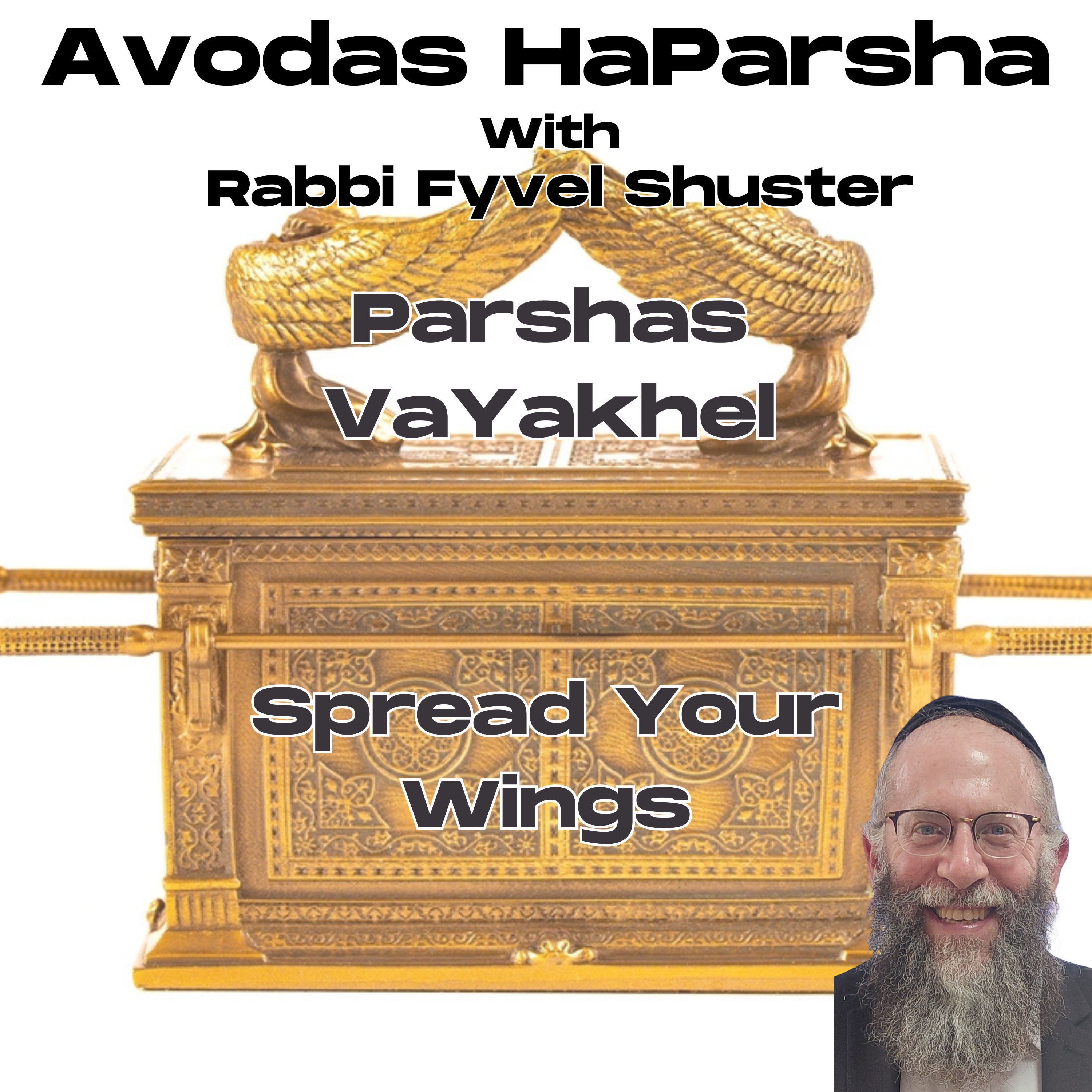 Spread Your Wings - Avodas Haparsha - Parshas Vayakhel episode artwork
