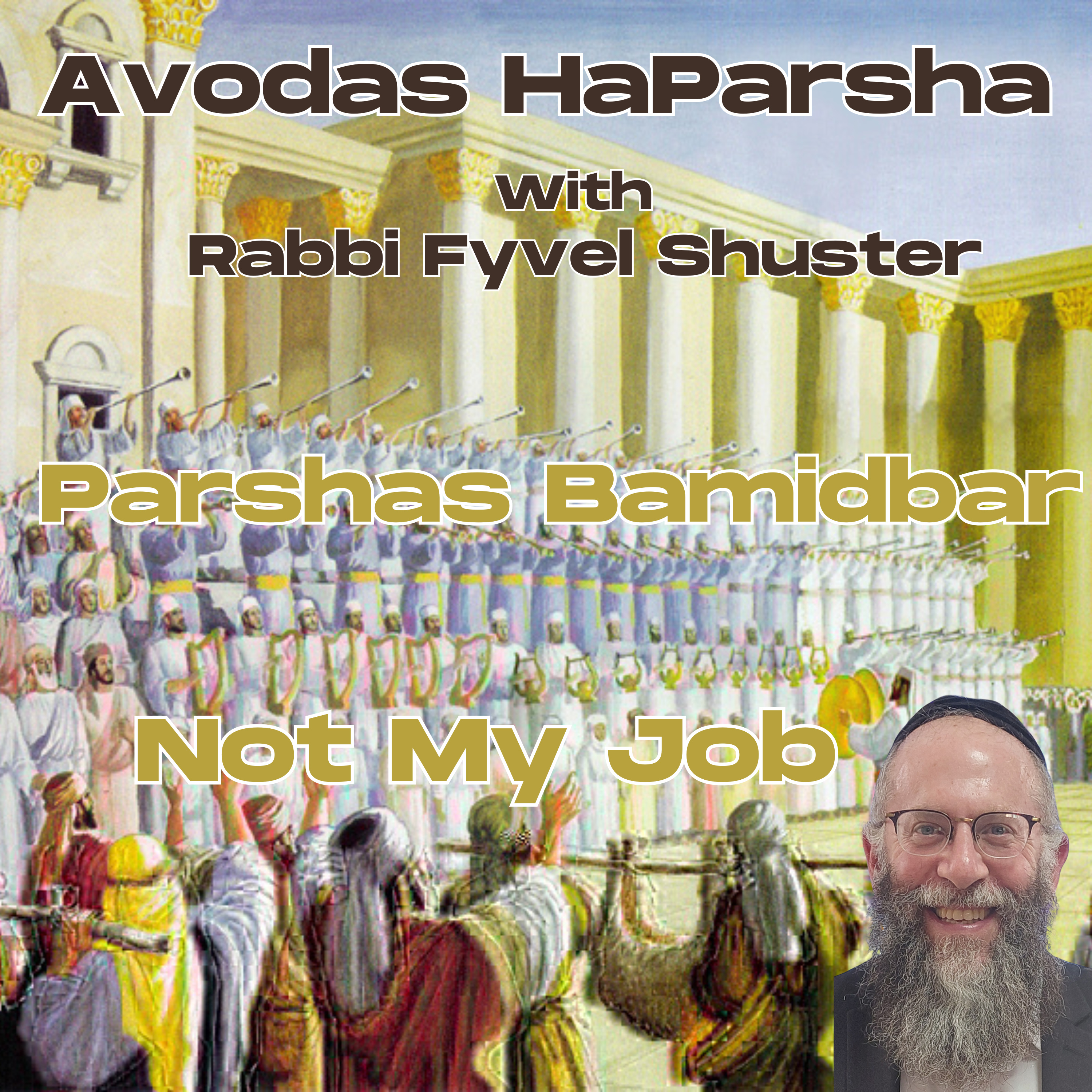 Not My Job - Avodas HaParsha Parshas Bamidbar episode artwork