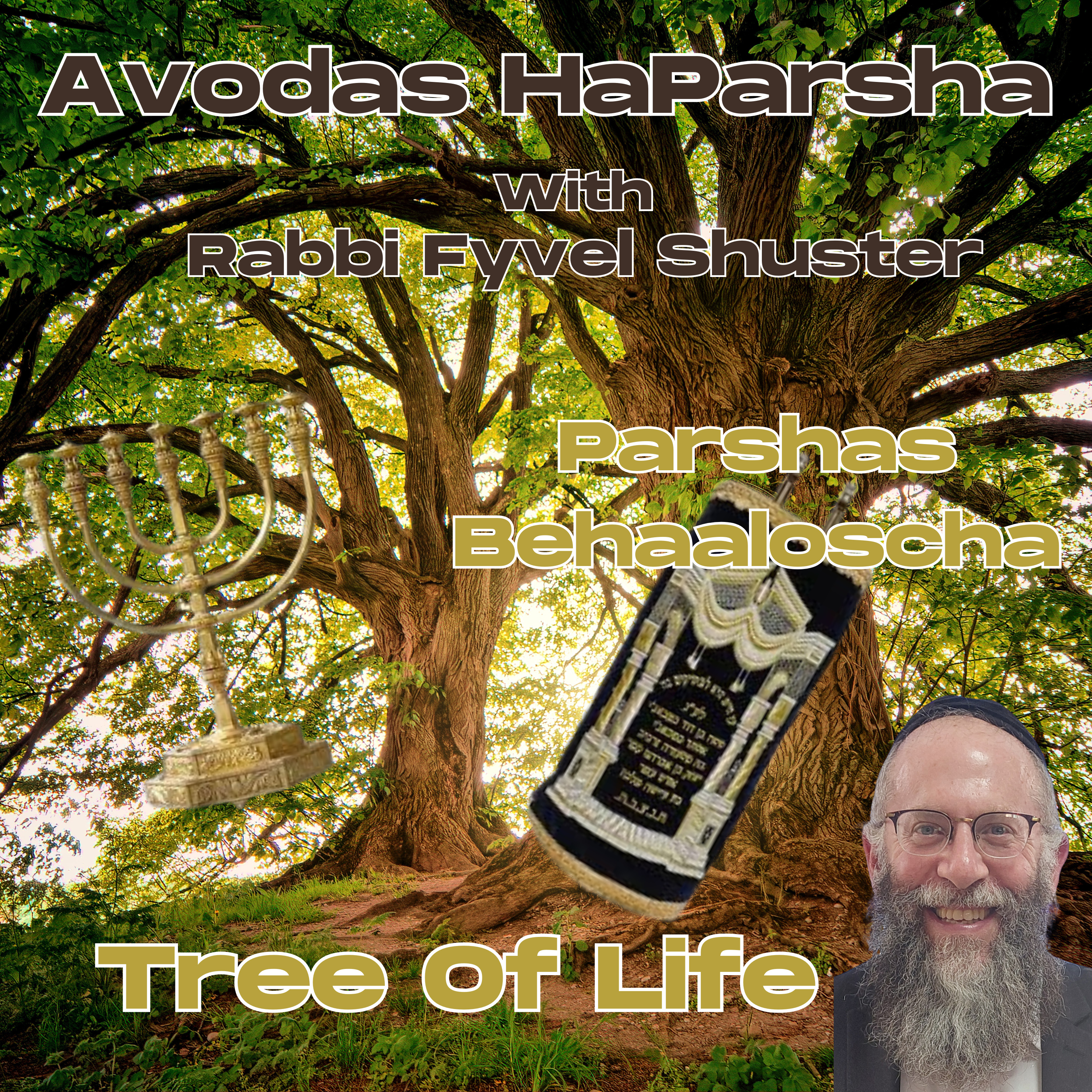 Tree Of Life - Avodas HaParsha Parshas Behaaloscha