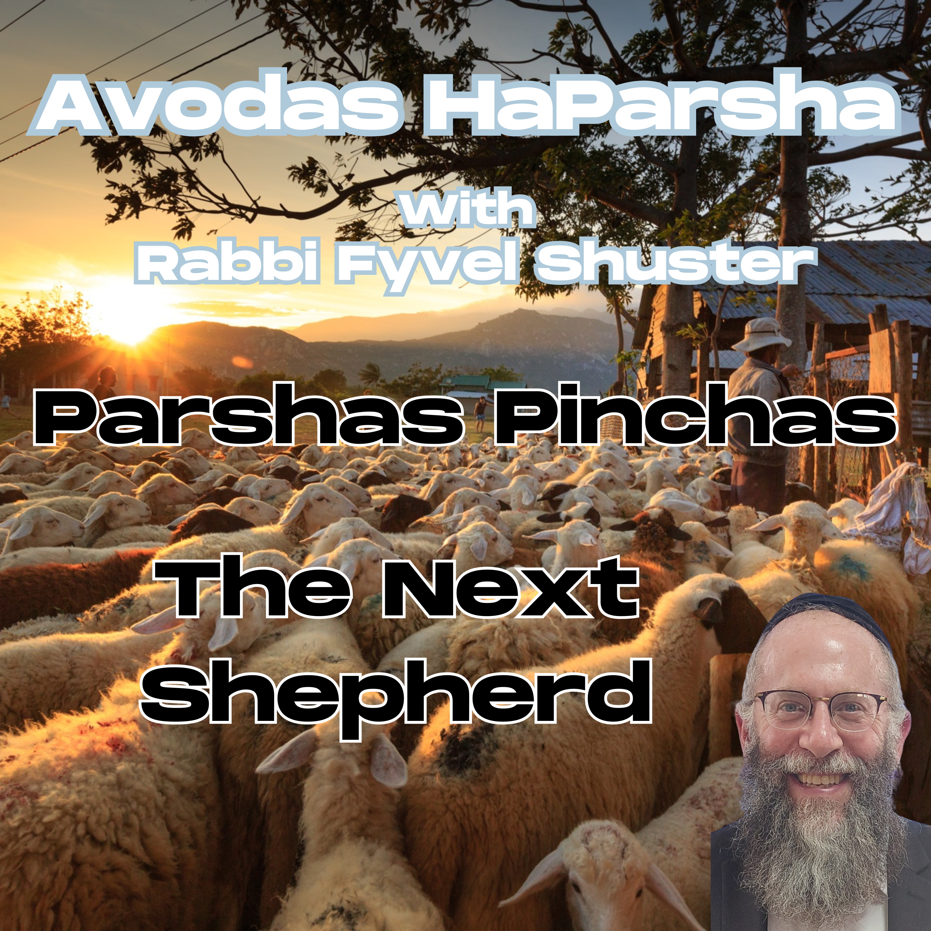 The Next Shepherd - Avodas HaParsha Parshas Pinchas