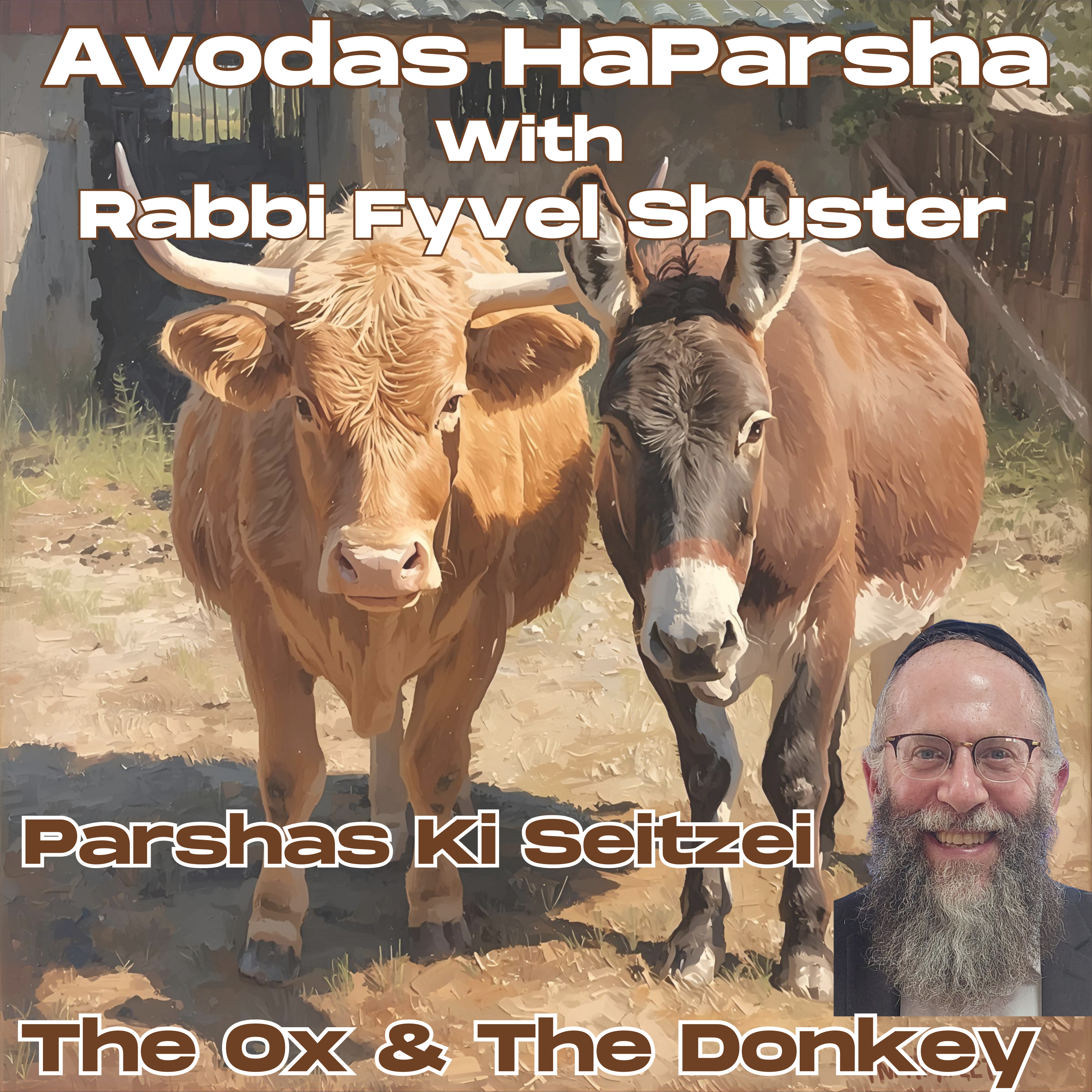 The Ox & The Donkey - Avodas HaParsha - Parshas Ki Seitzei episode artwork