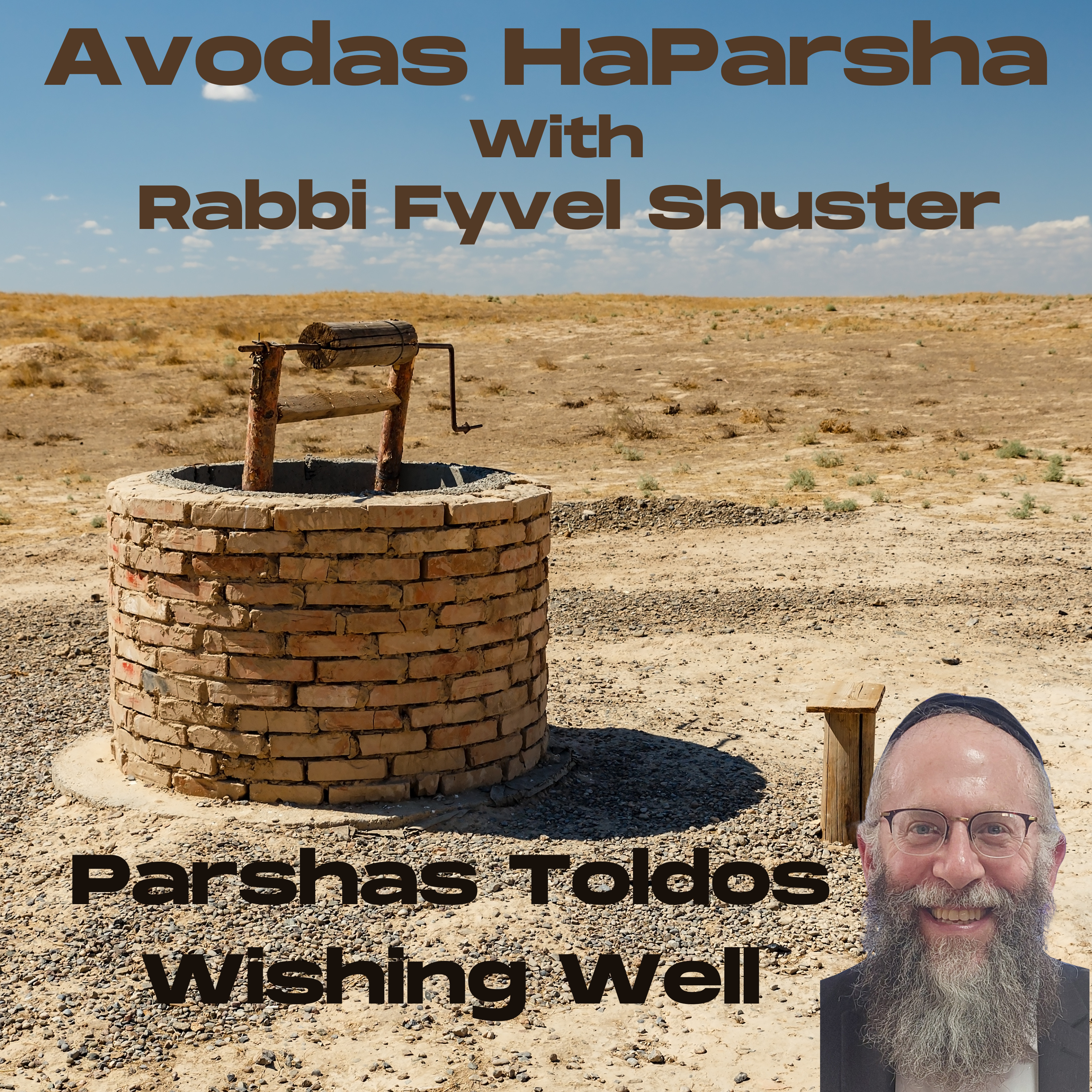 Wishing Well - Avodas HaParsha - Parshas Toldos episode artwork