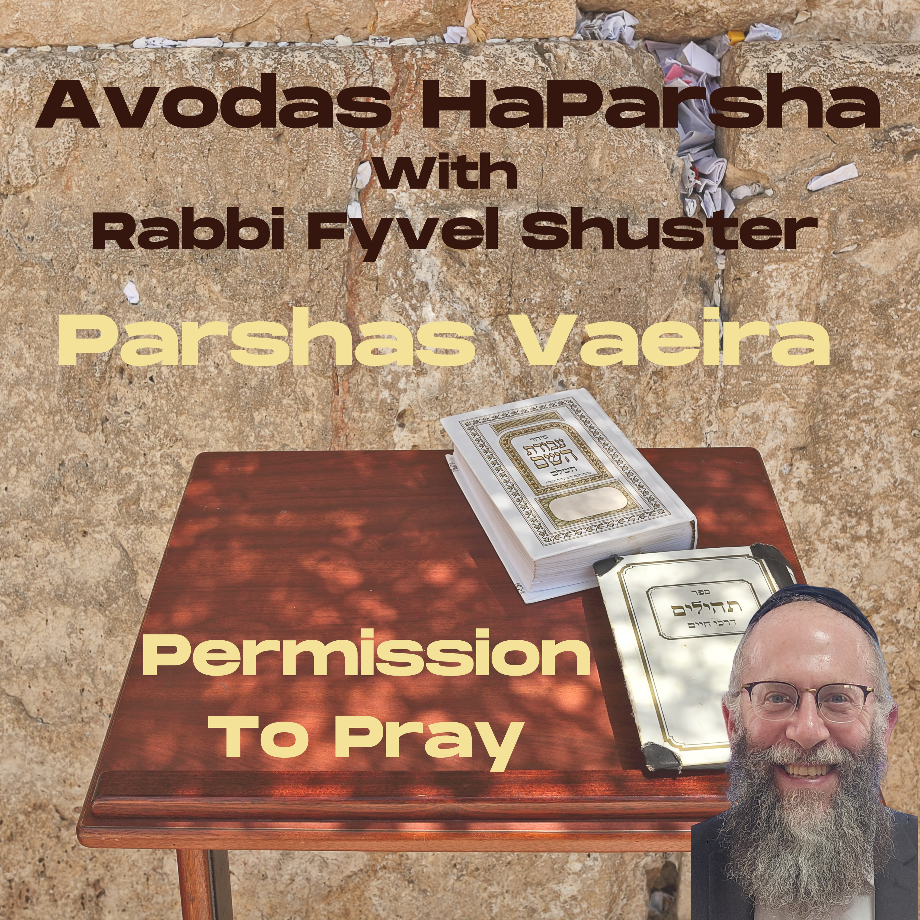 Permission To Pray - Avodas HaParsha - Parshas Vaeira episode artwork