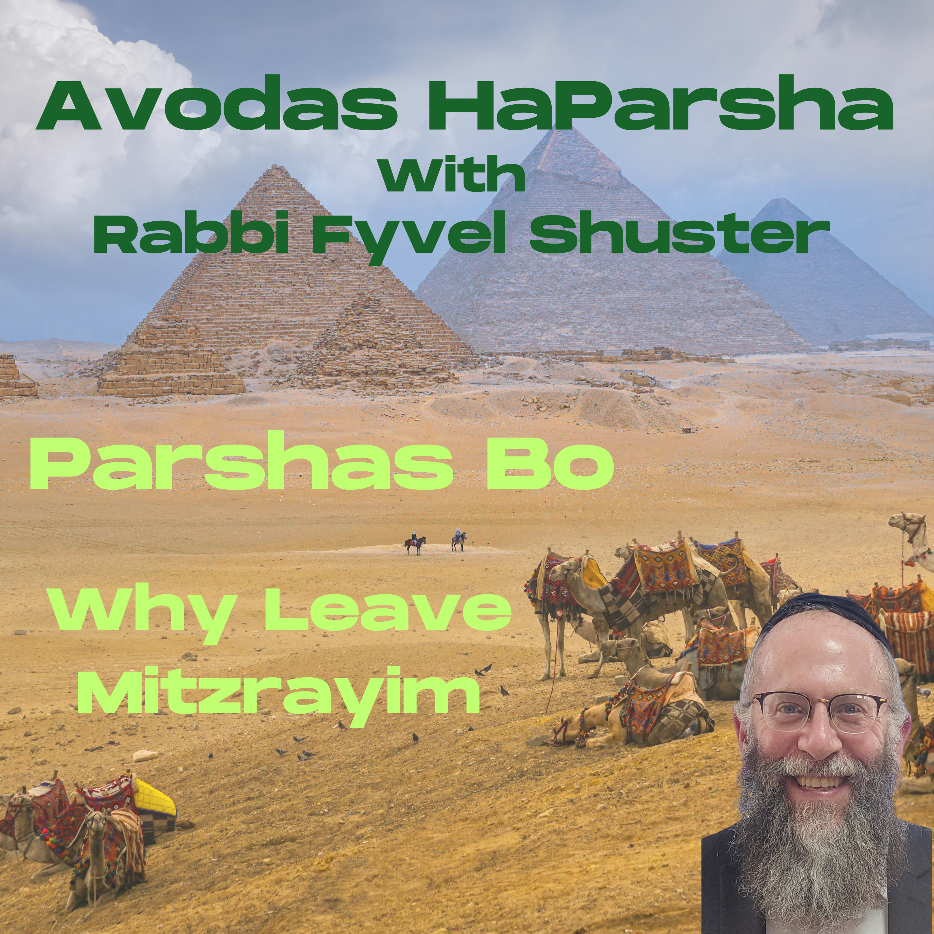Why Leave Mitzrayim? - Avodas HaParsha Parshas Bo episode artwork