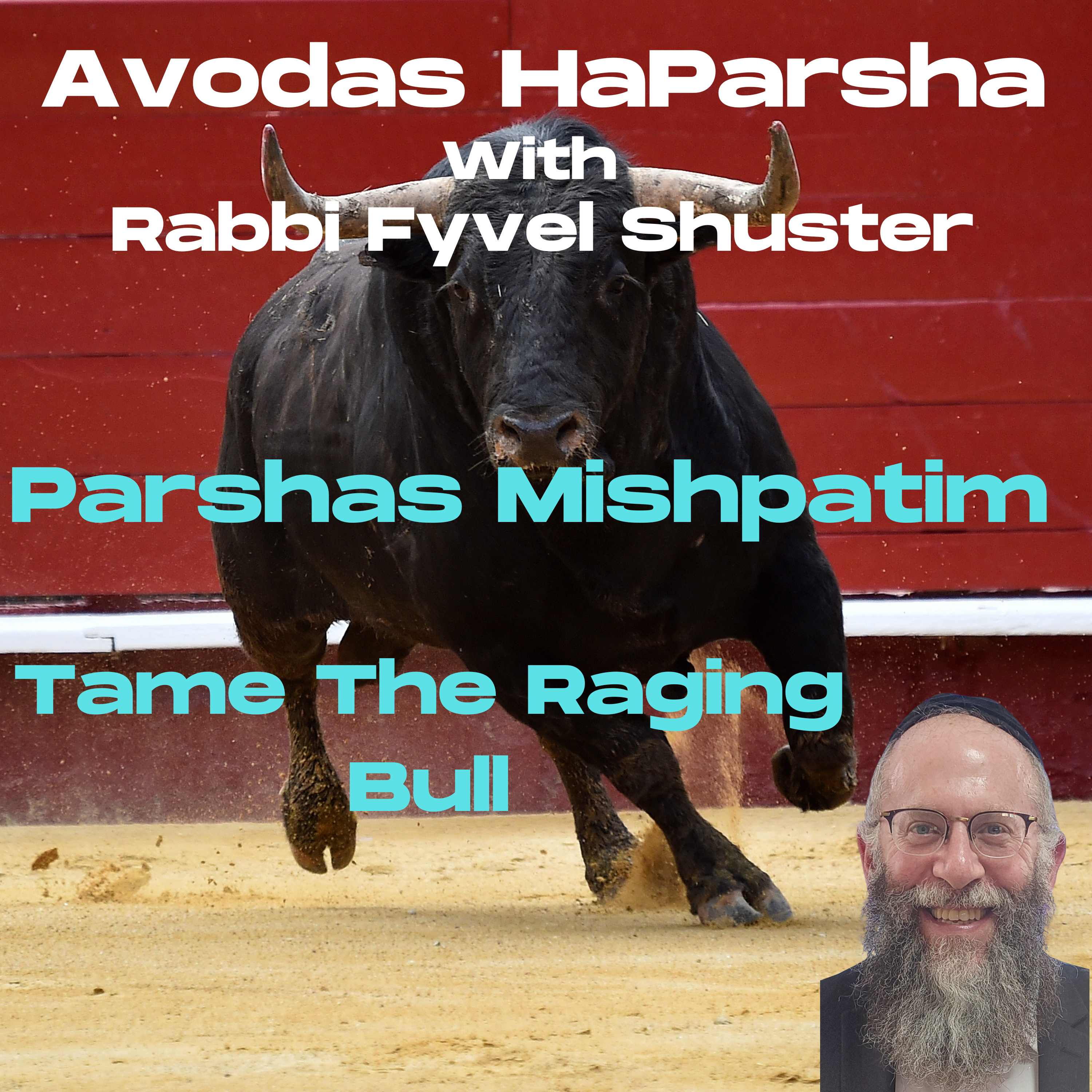 Tame The Raging Bull - Avodas HaParsha Parshas Mishpatim episode artwork