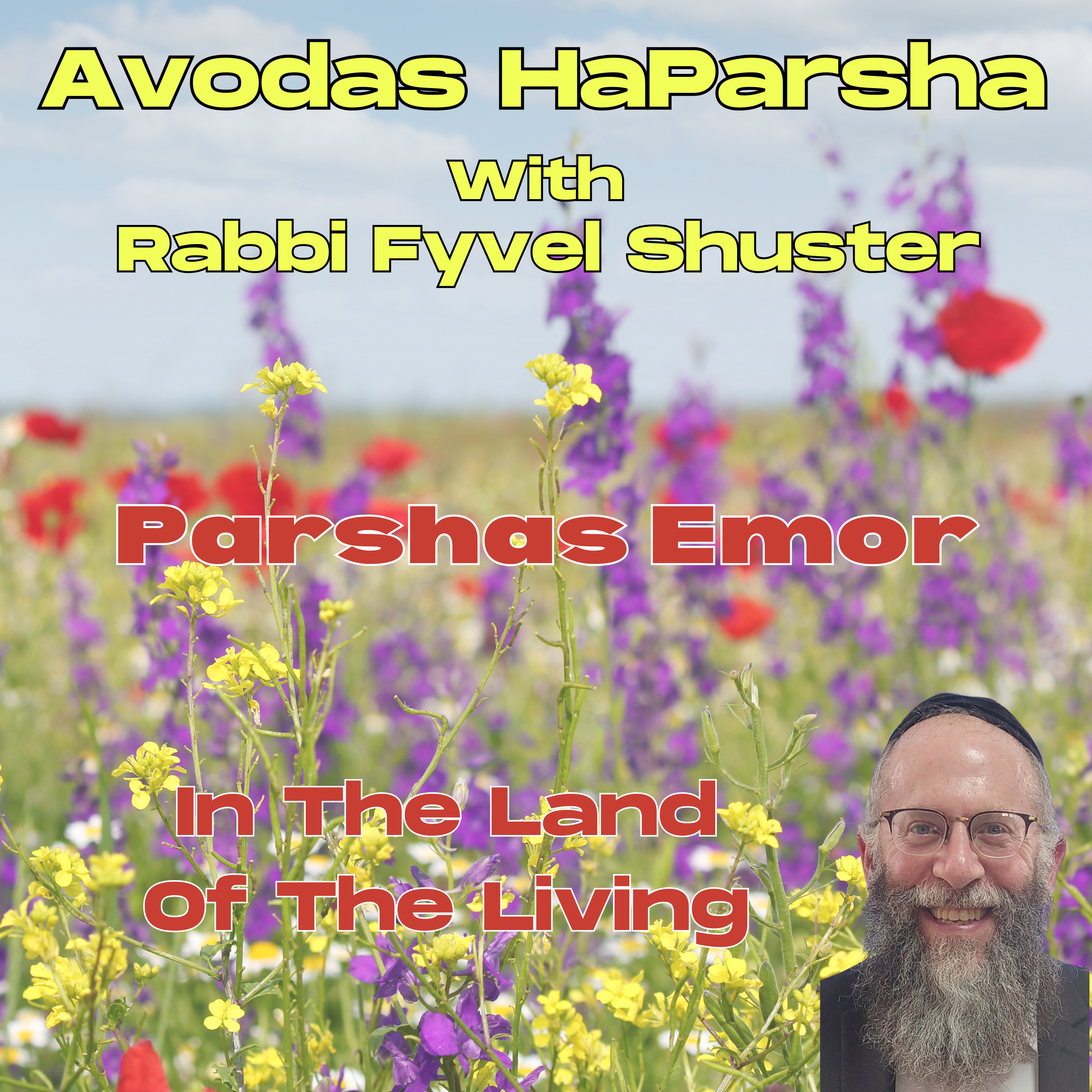 In The Land Of The Living - Avodas HaParsha - Parshas Emor episode artwork